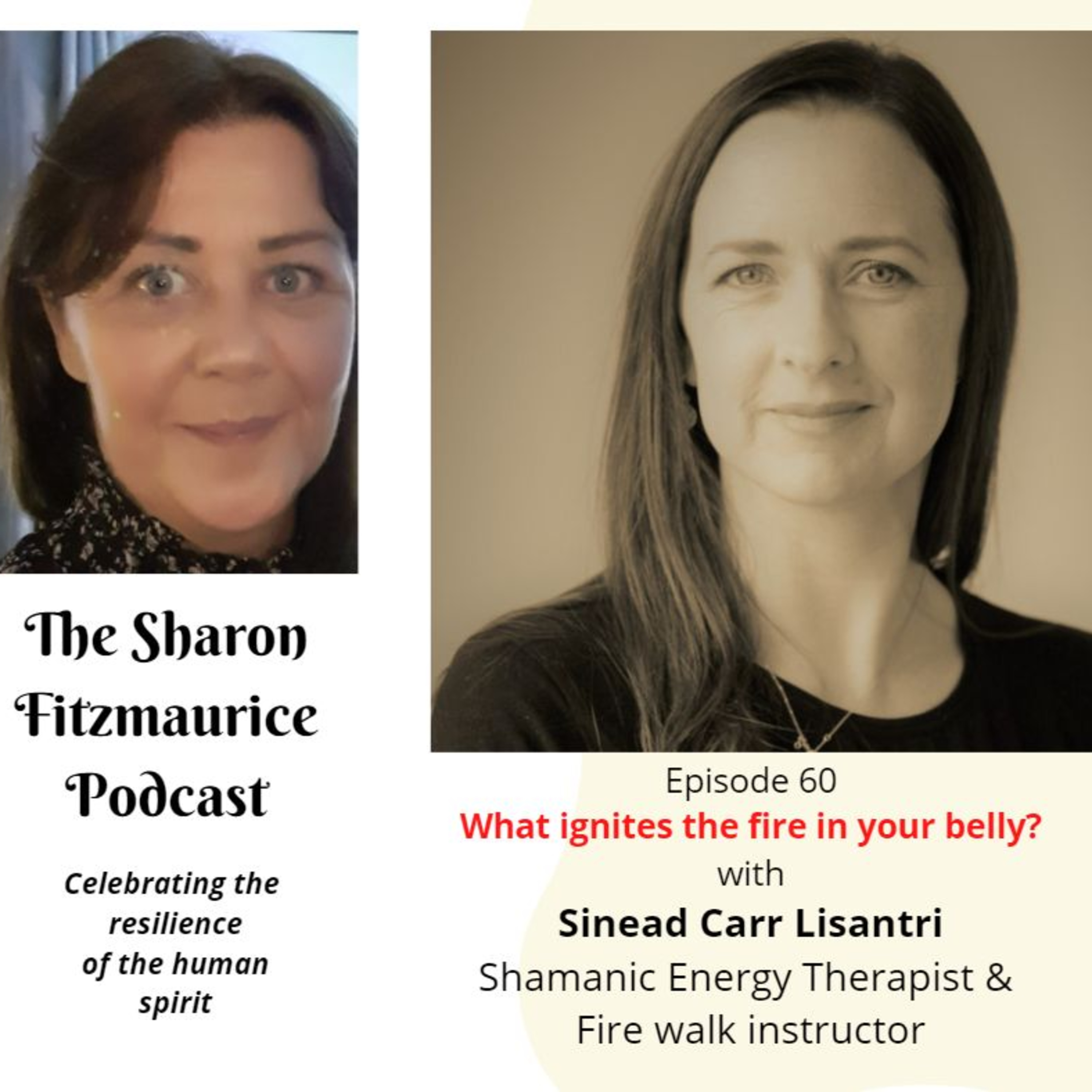 The Sharon Fitzmaurice Podcast