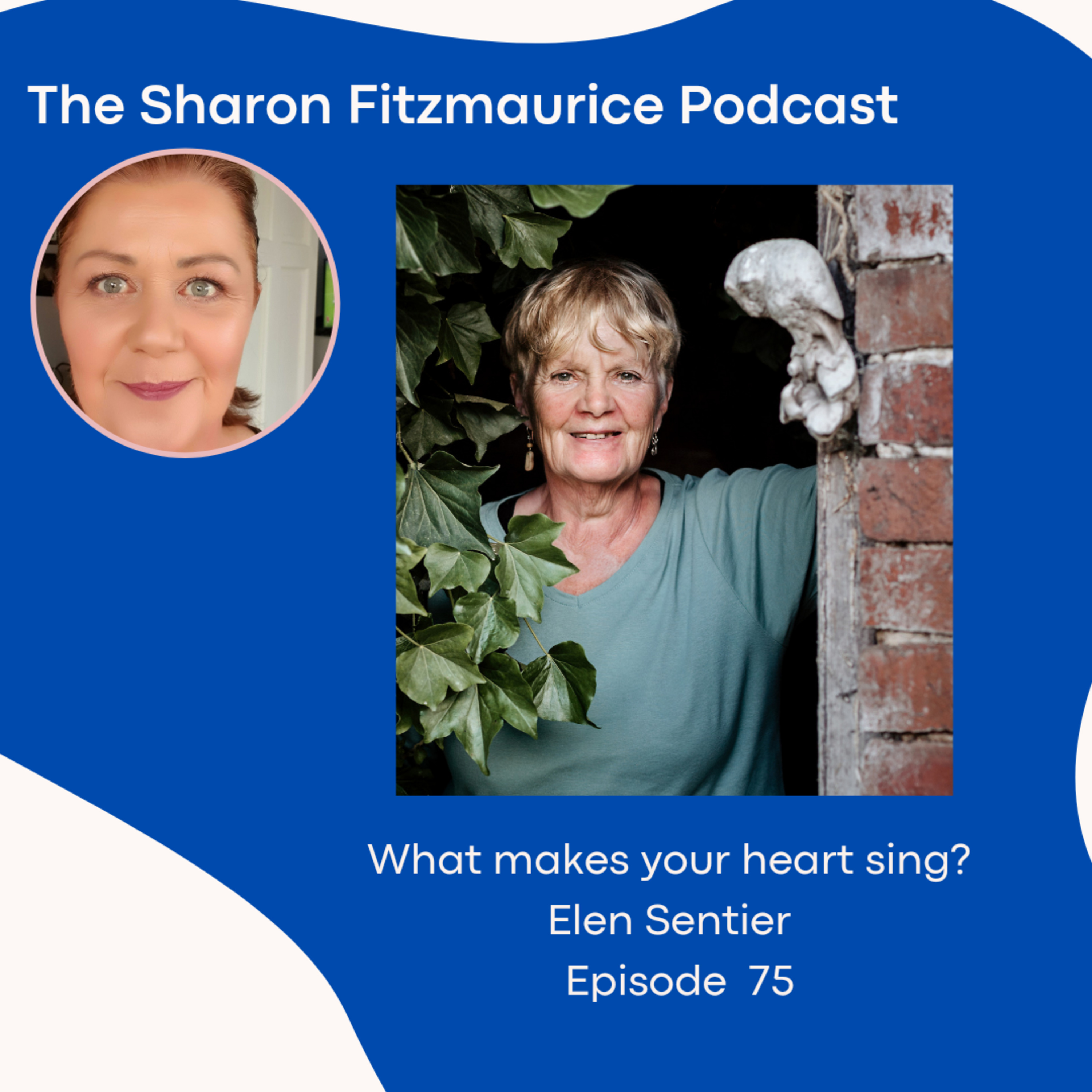The Sharon Fitzmaurice Podcast