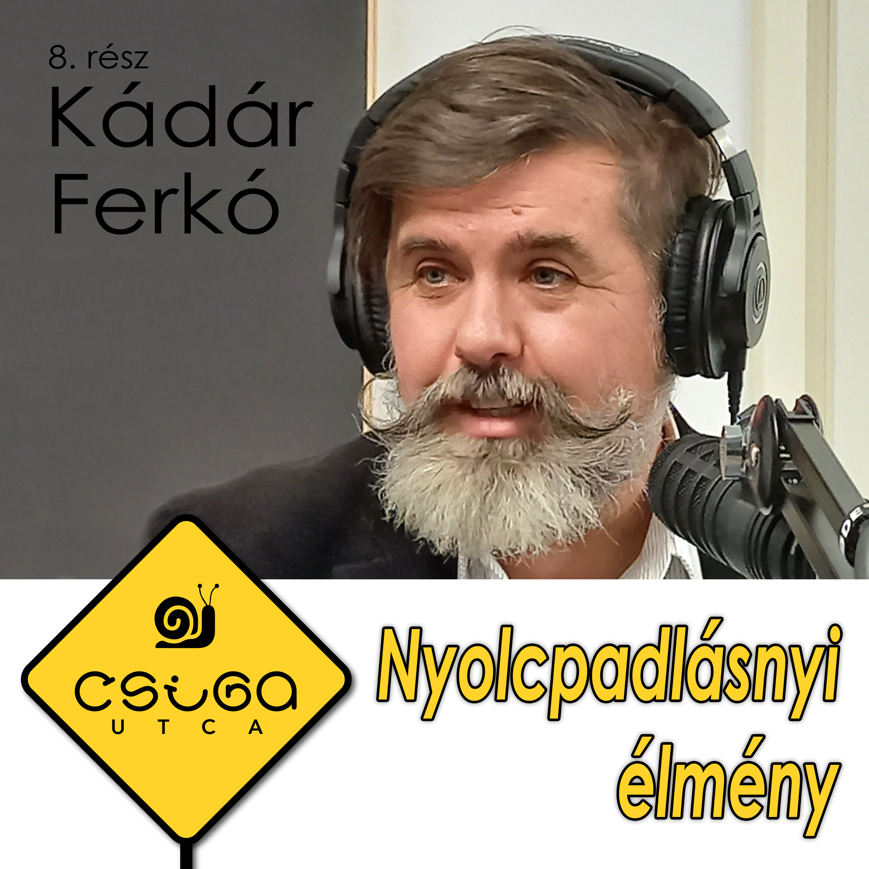 Csiga Utca