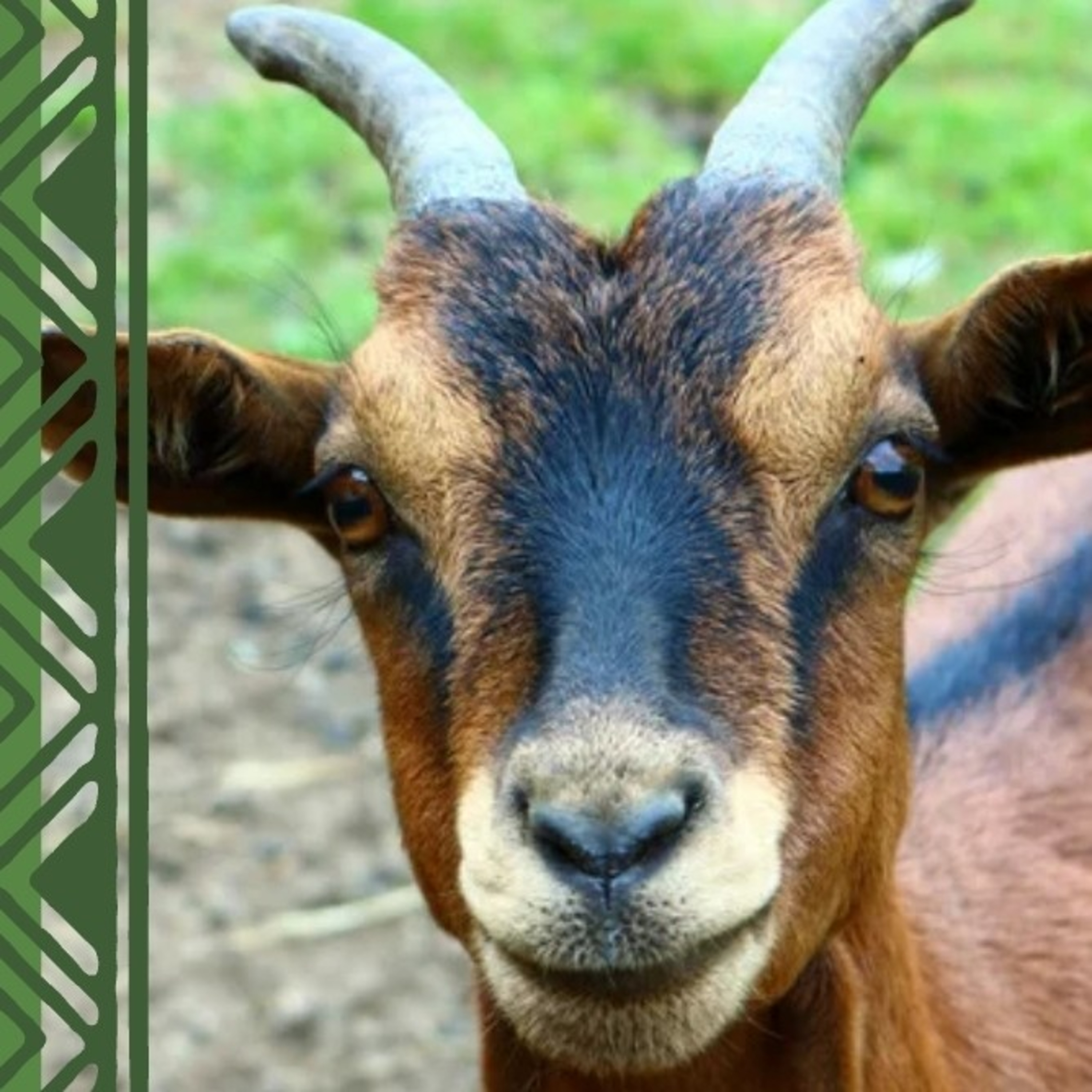 Goat Full Moon Meditation episode artwork