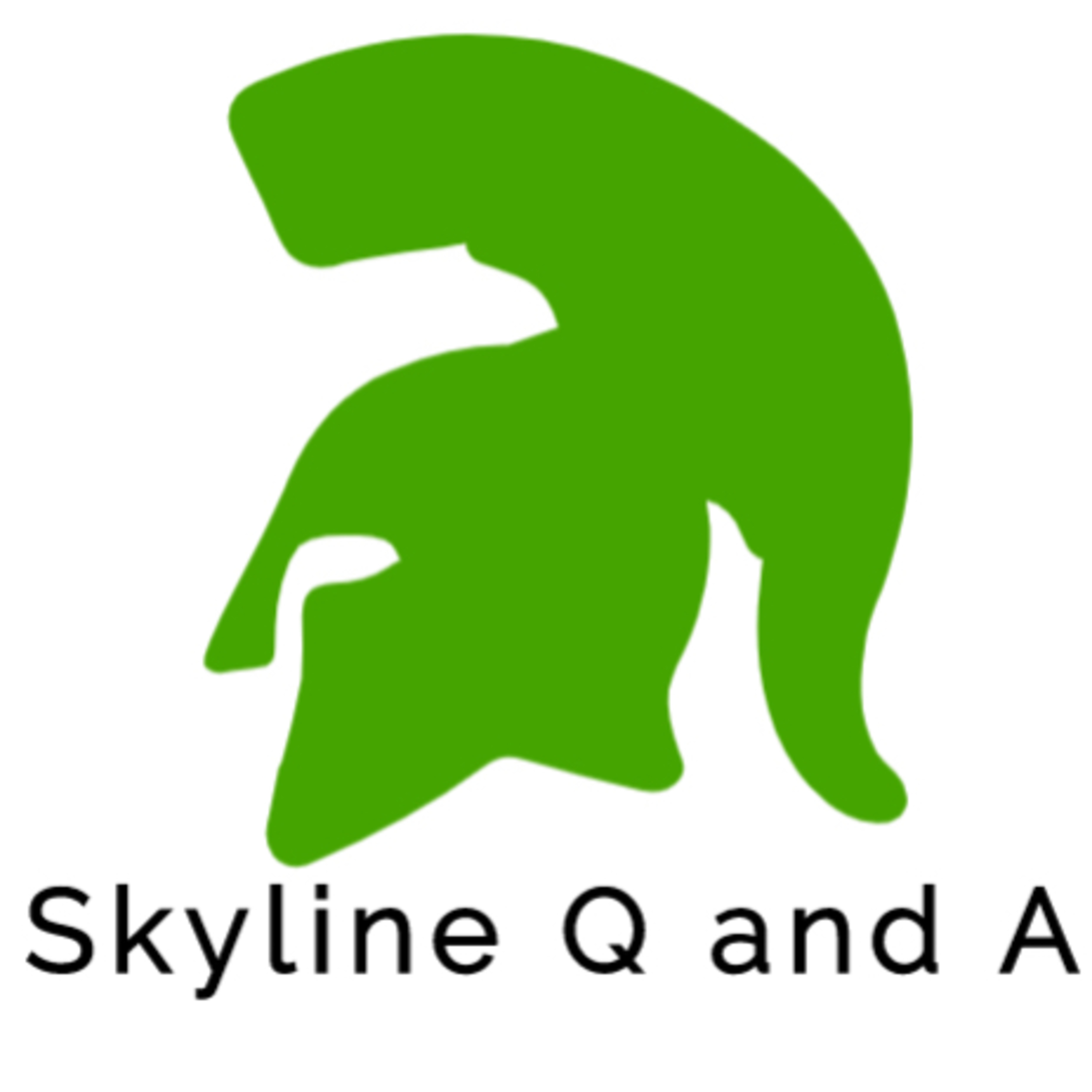 Episode 1 Skyline Q&A  episode artwork