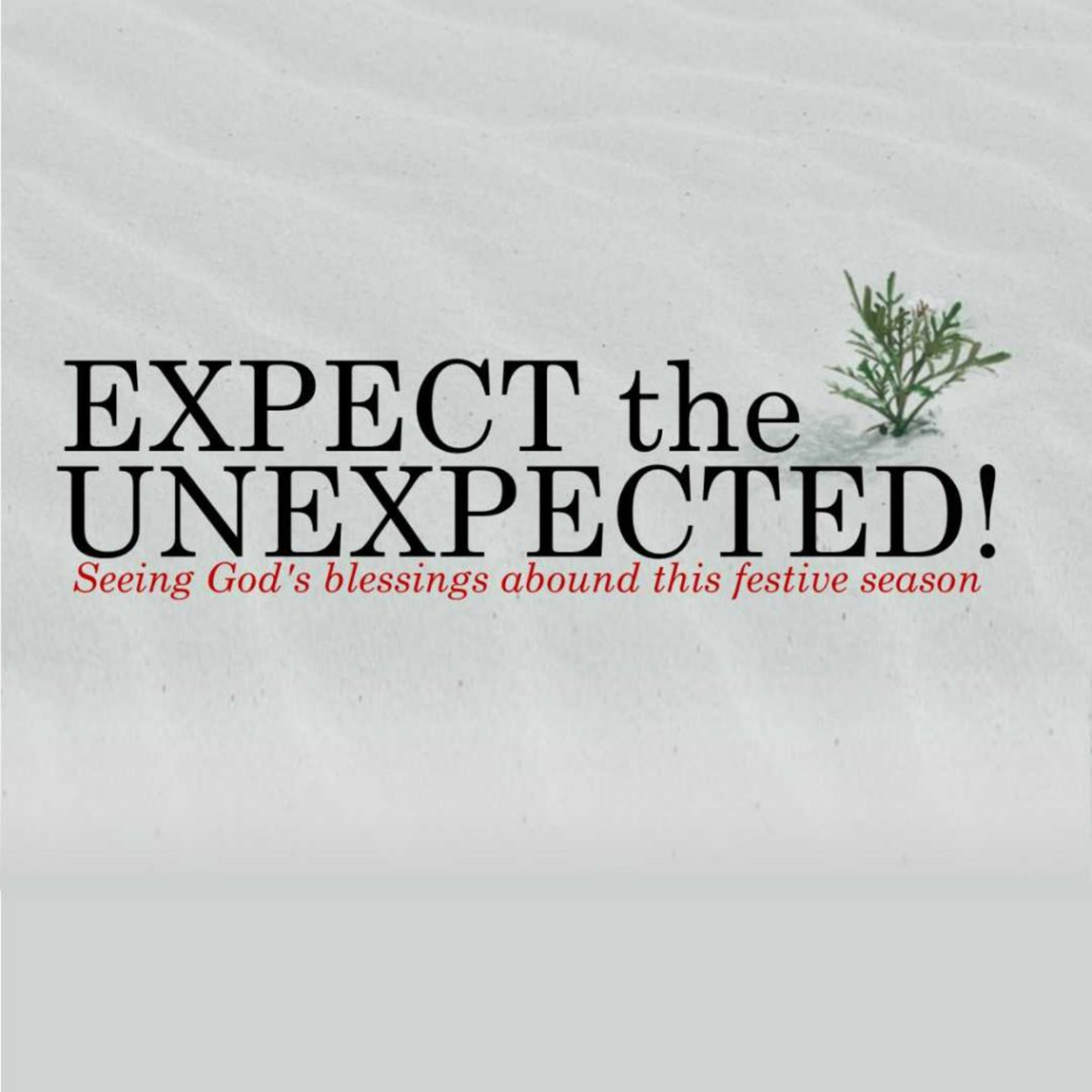 Expect the Unexpected episode artwork