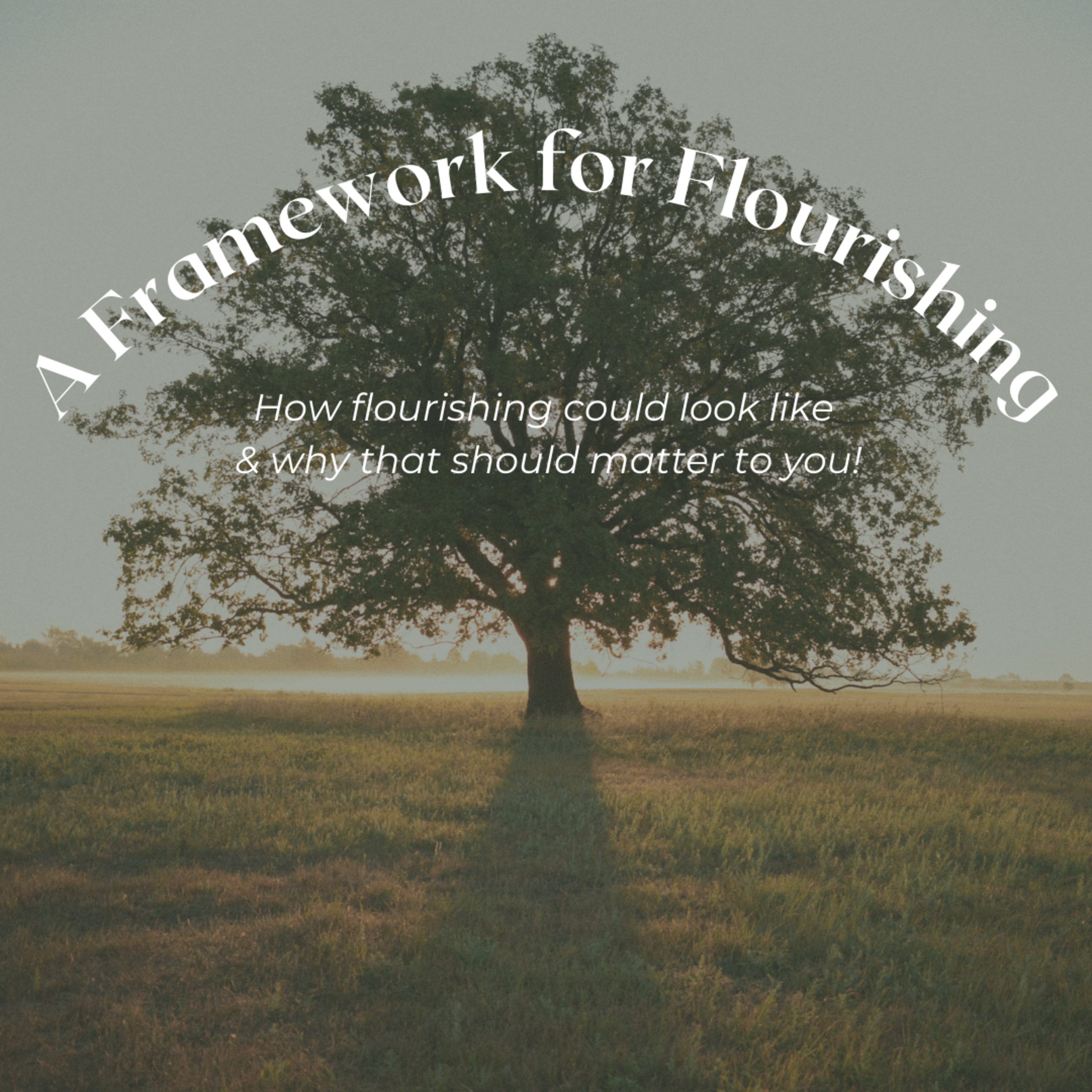 Flourishing and the City episode artwork