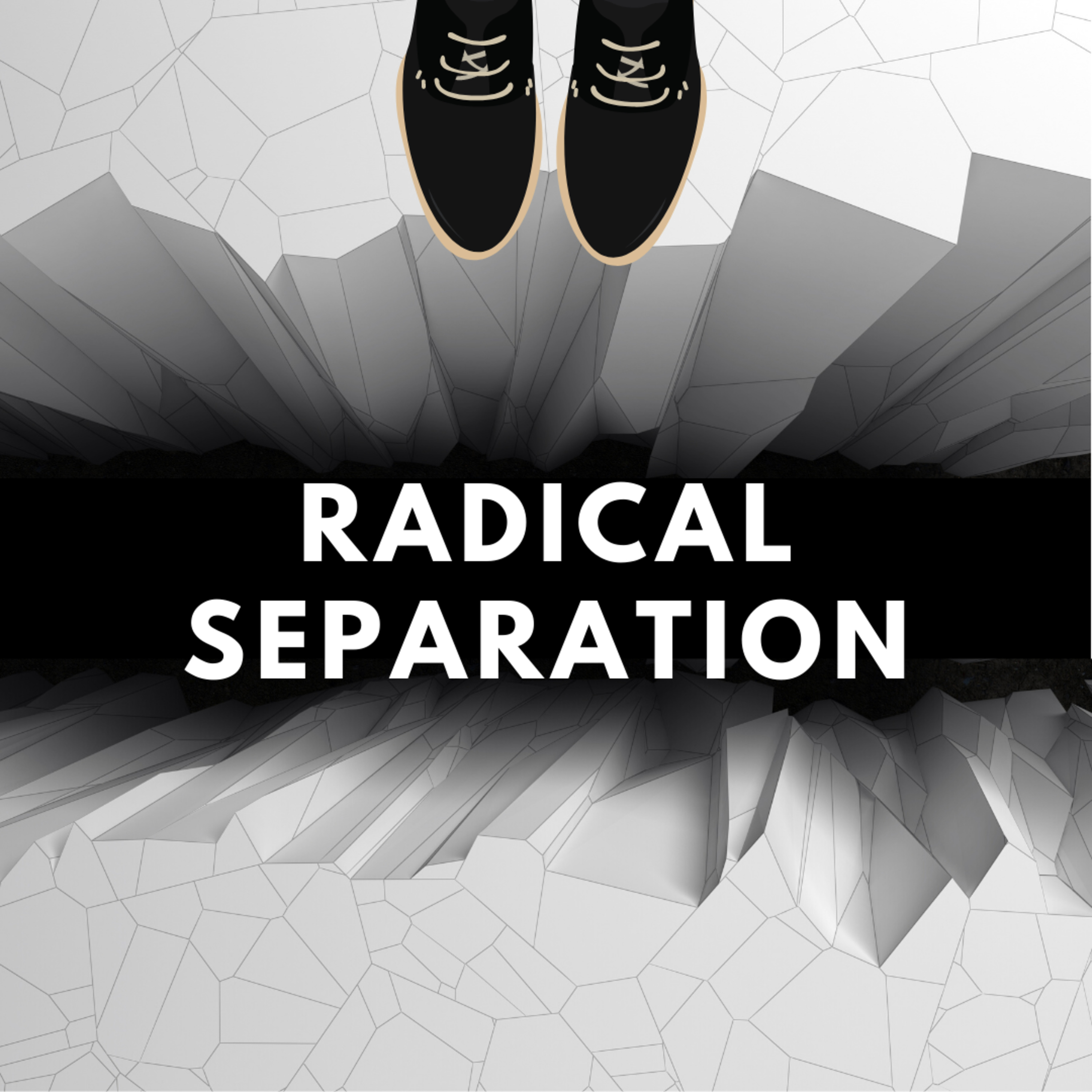Radical Separation episode artwork