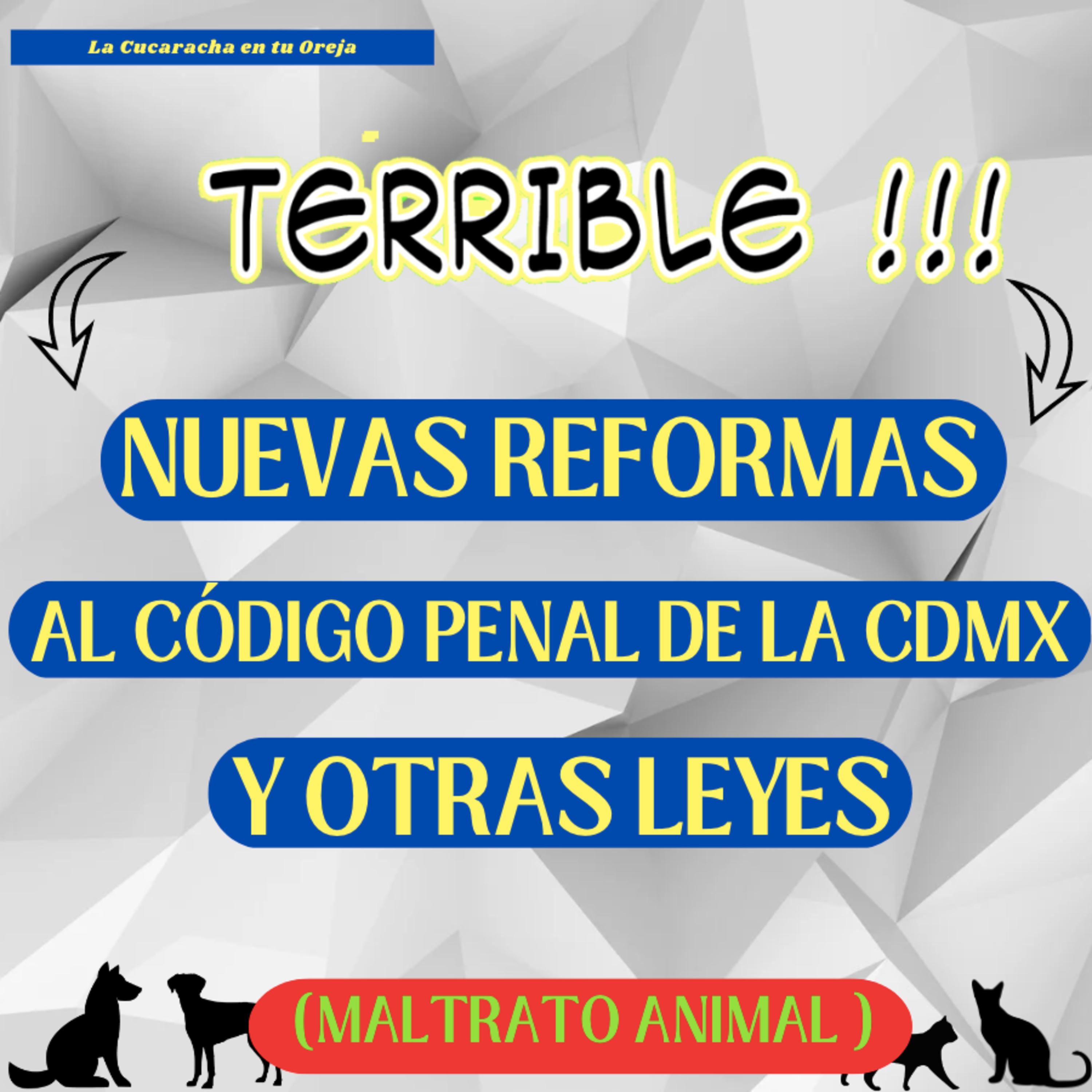 Noticias de animales | La Cucaracha en tu Oreja