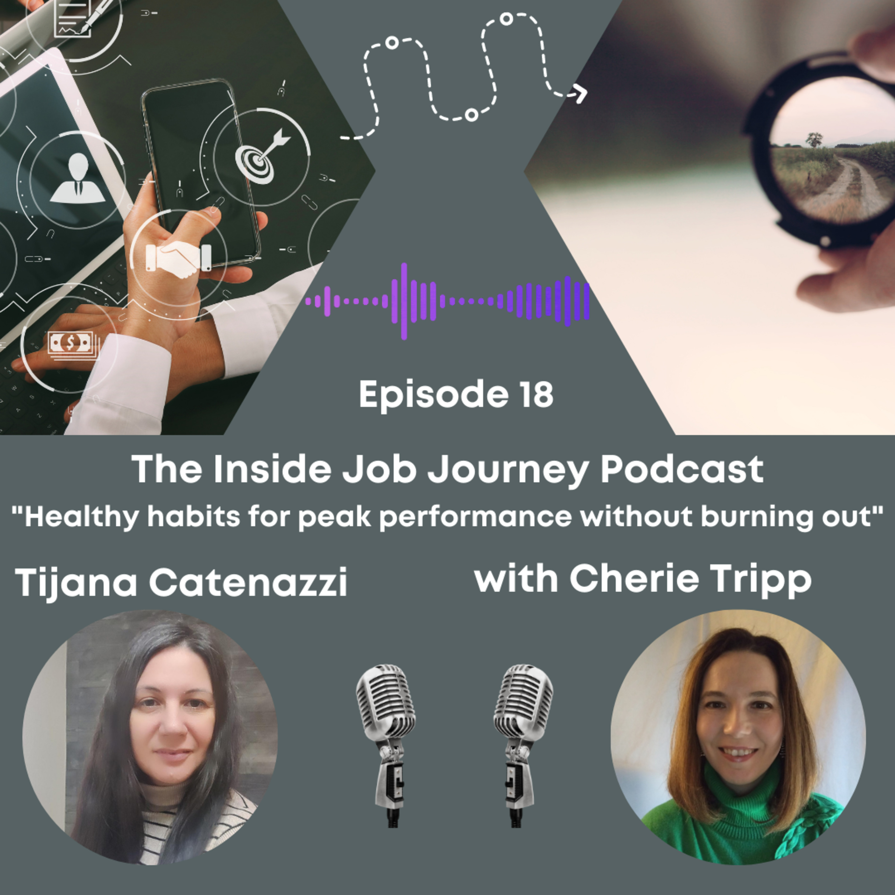 The Inside Job Journey