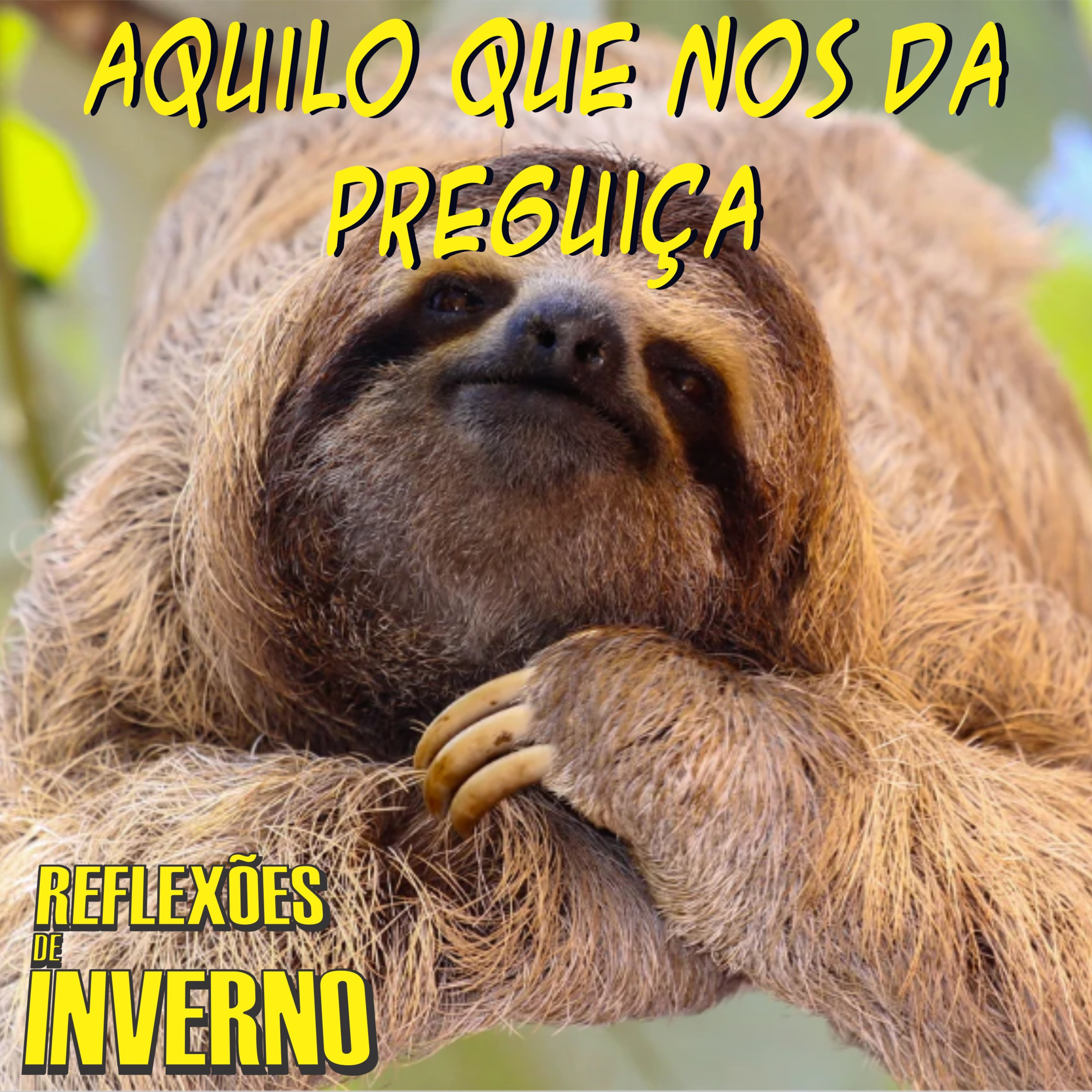 Reflexões de Inverno