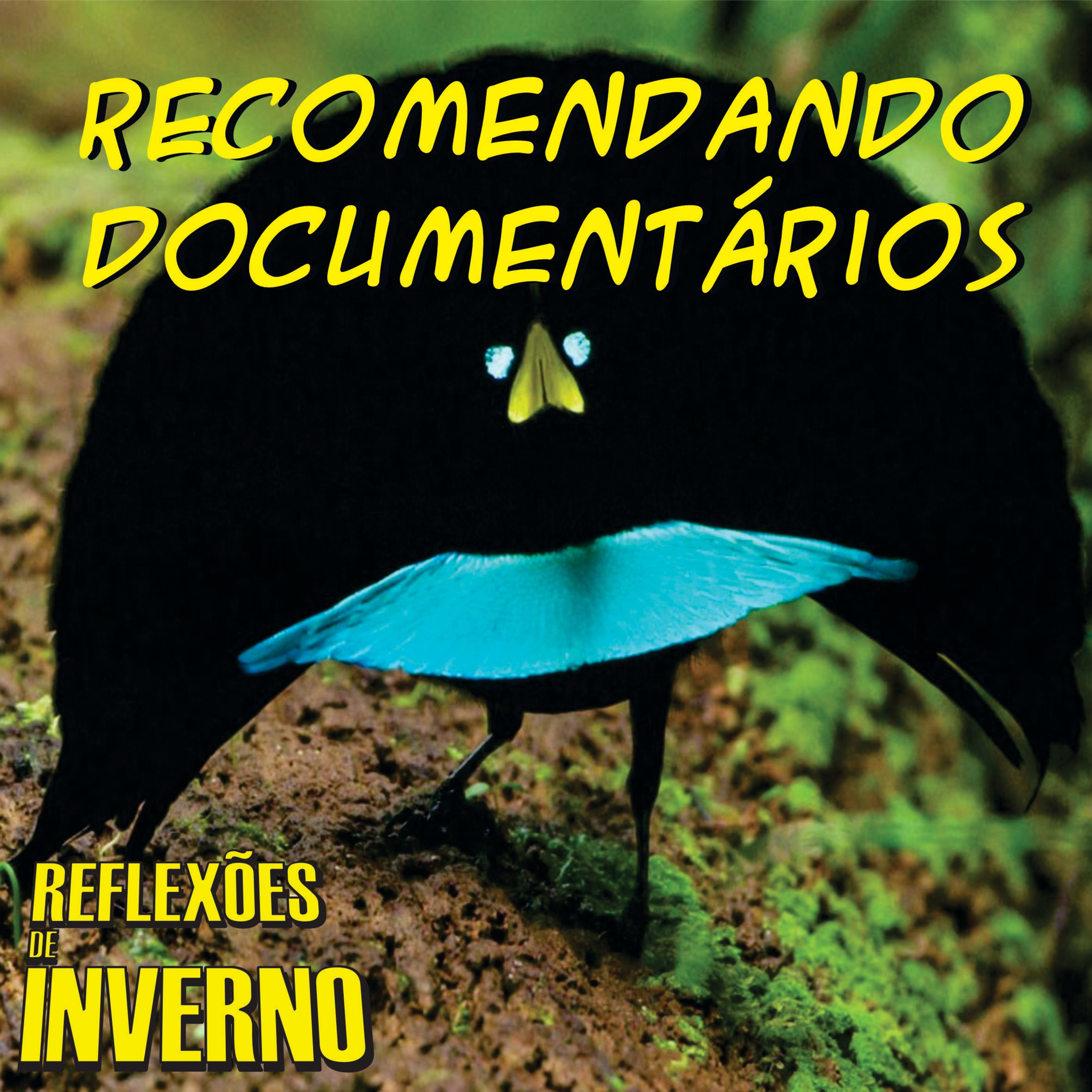 Reflexões de Inverno