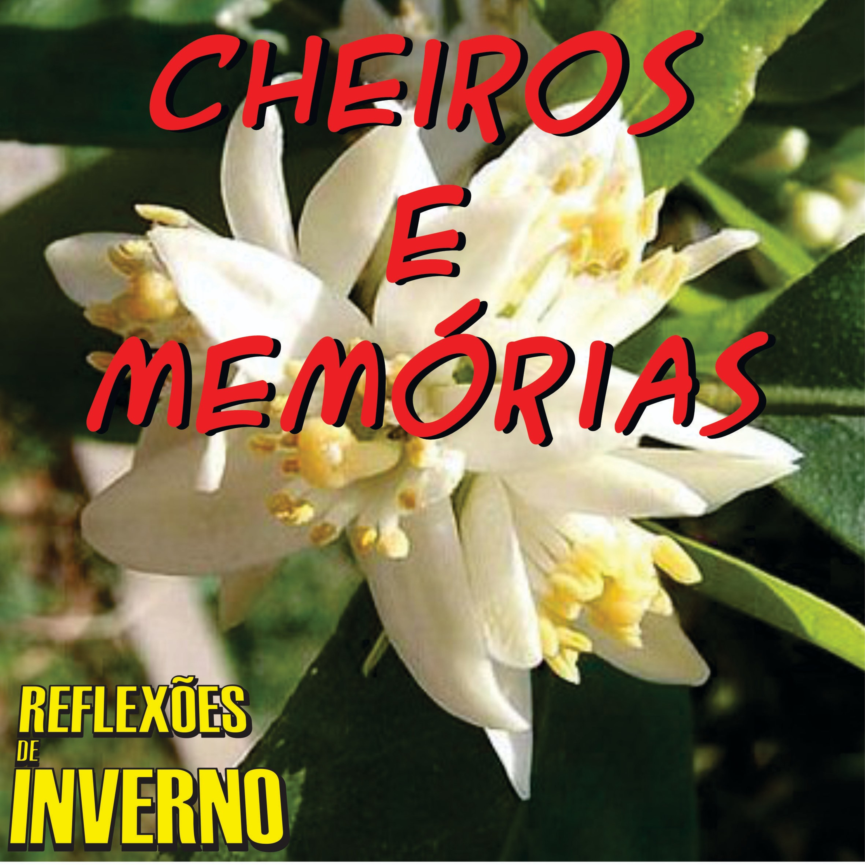 Reflexões de Inverno