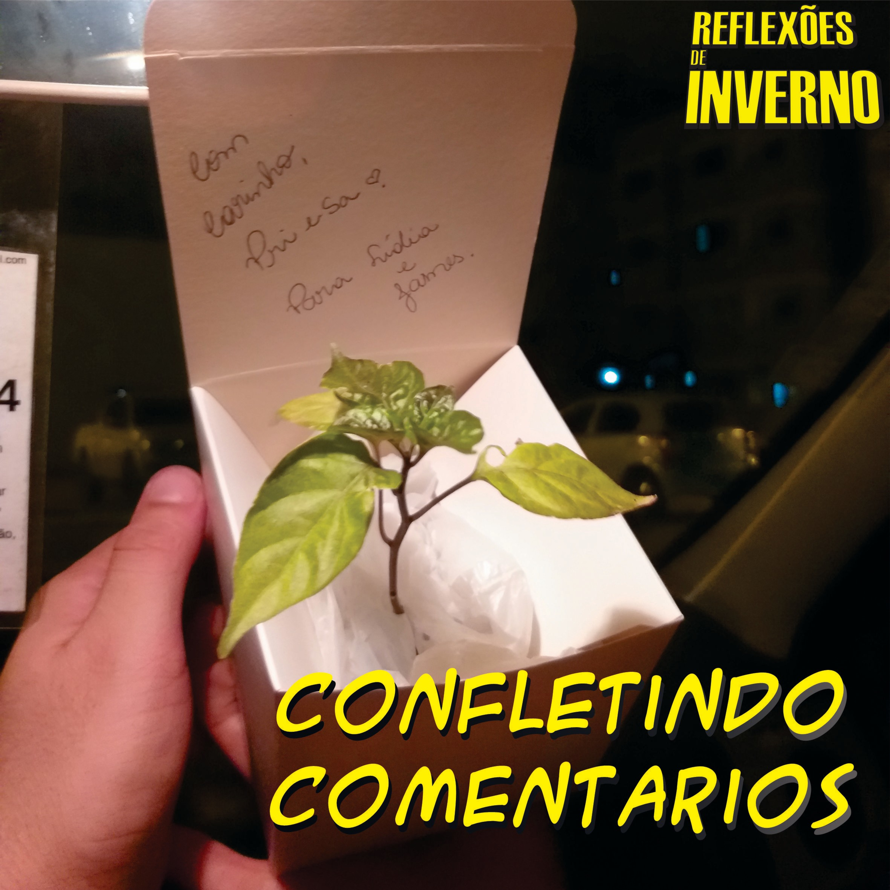 Reflexões de Inverno