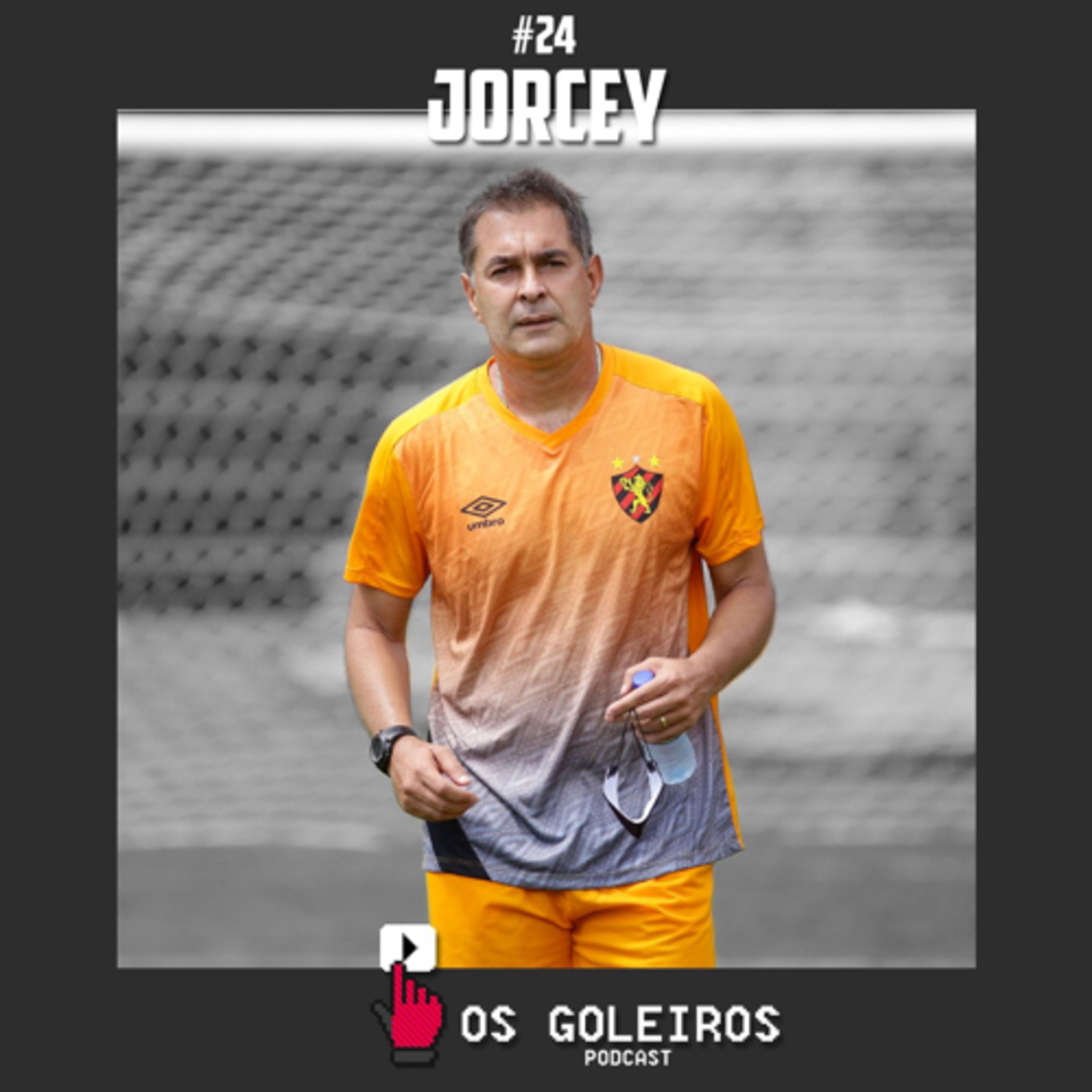 Os Goleiros