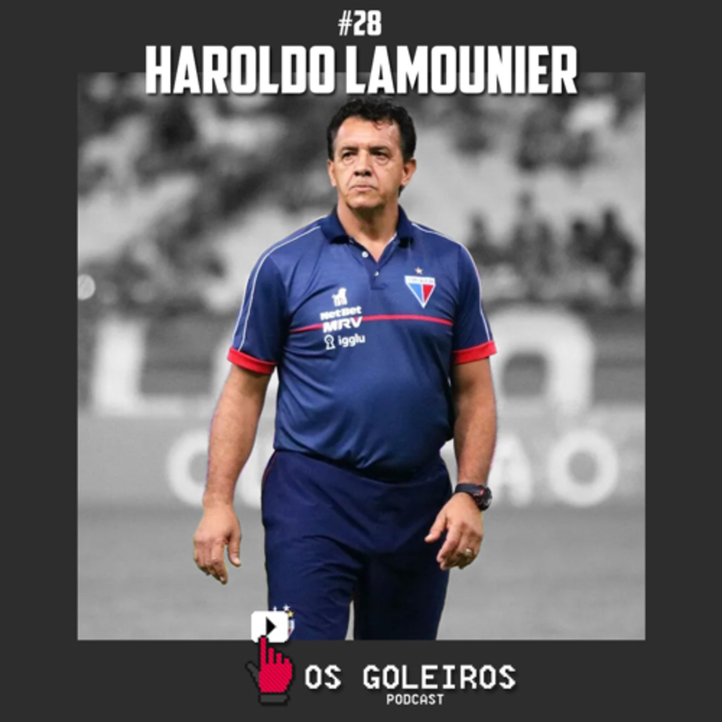 Os Goleiros