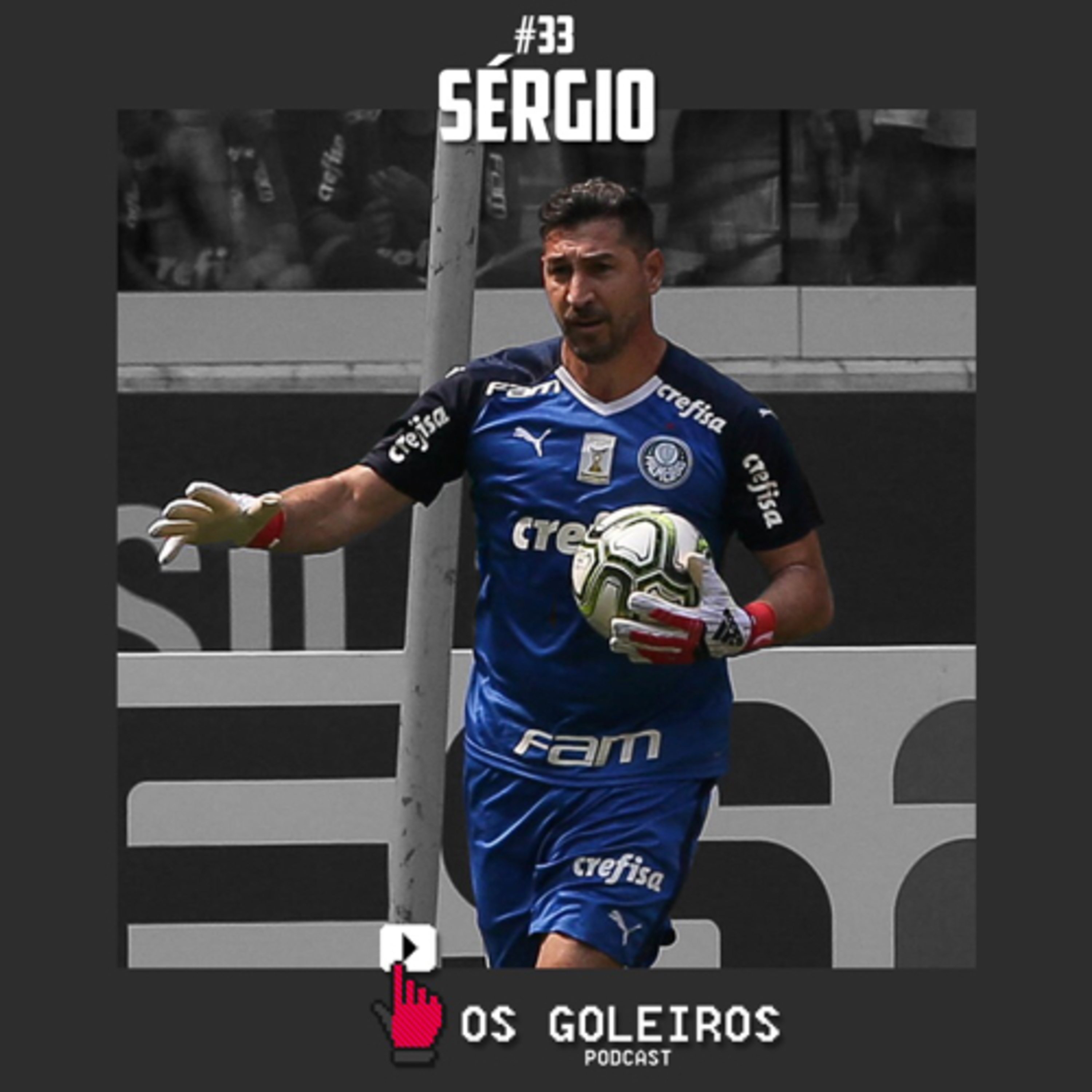 Os Goleiros