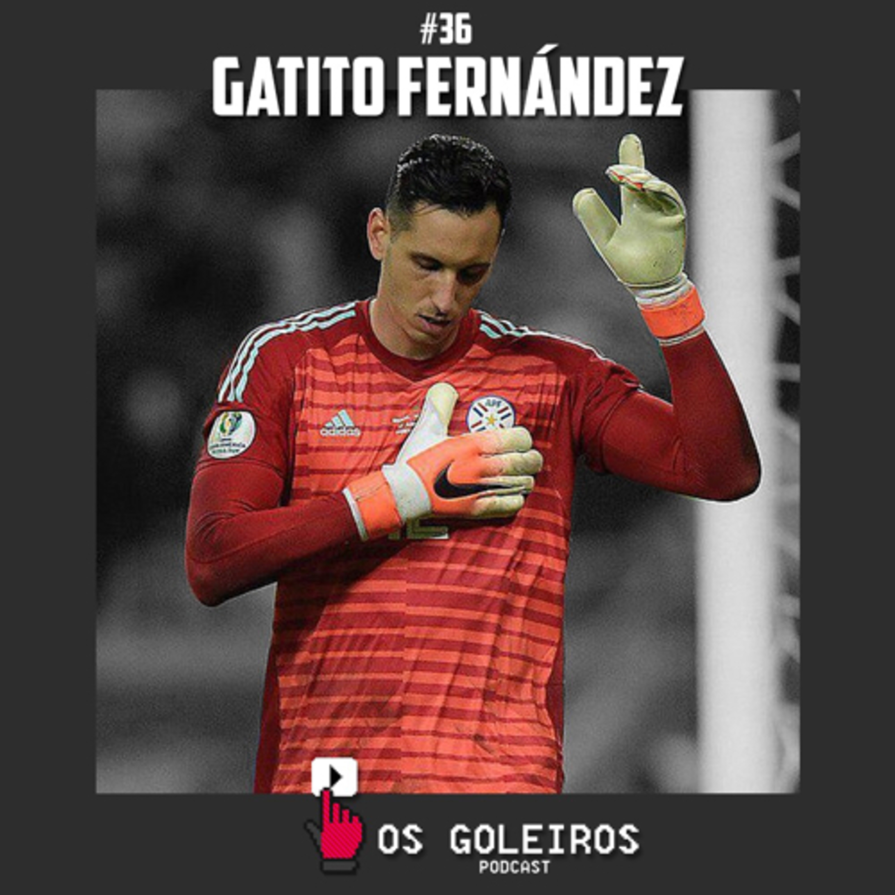 Os Goleiros