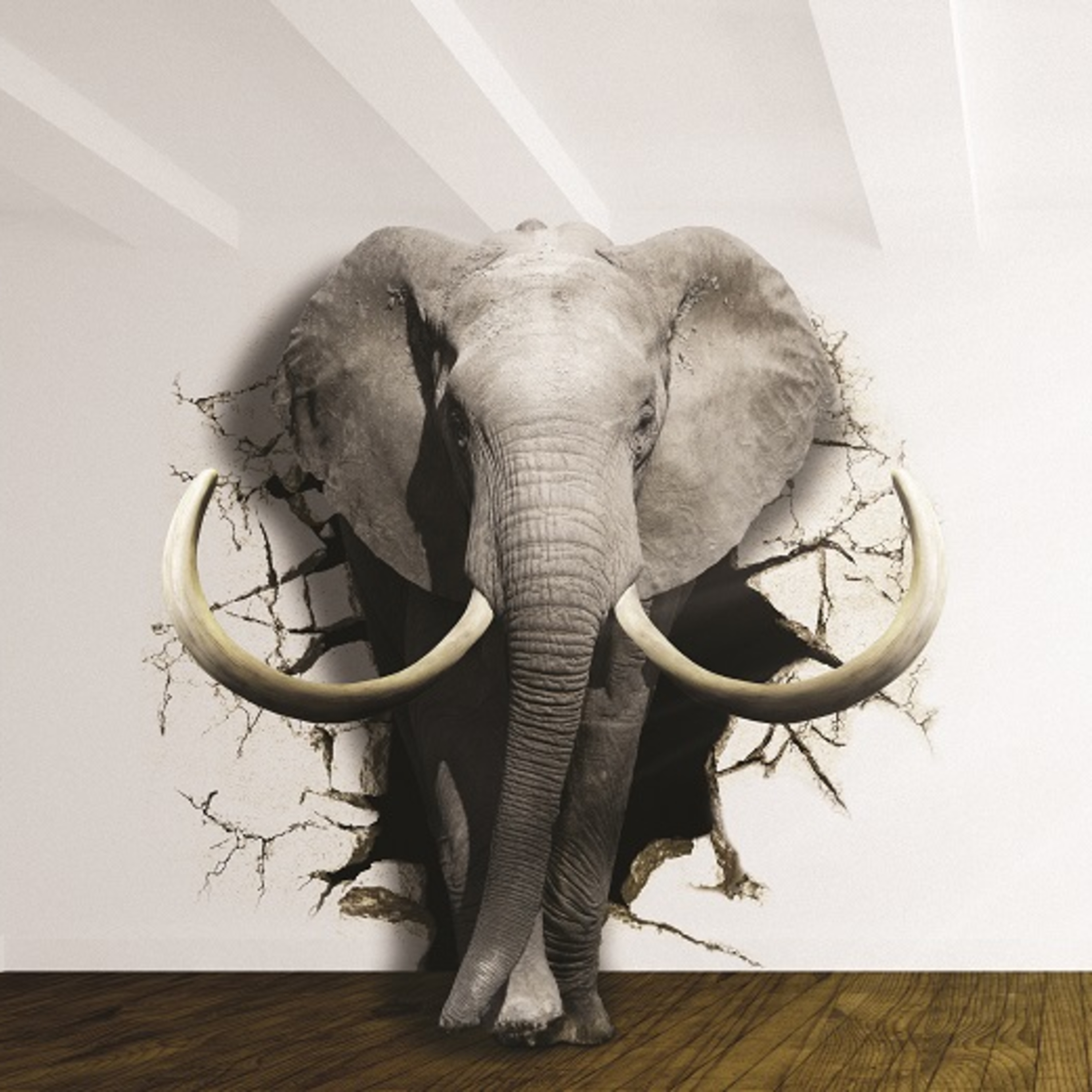 There\'s an elephant in your office