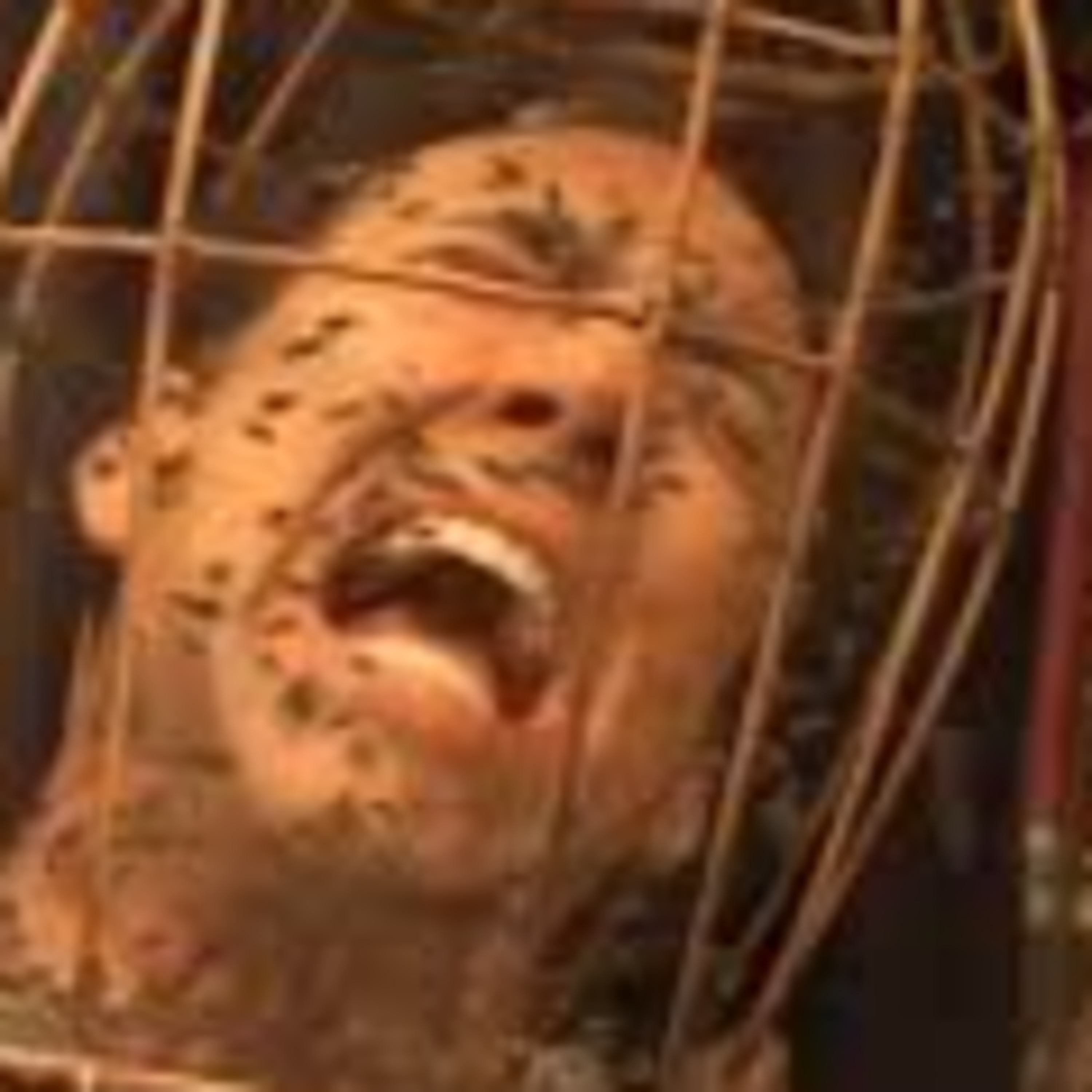 The Wicker Man: A Wooden Cage on Fire episode artwork