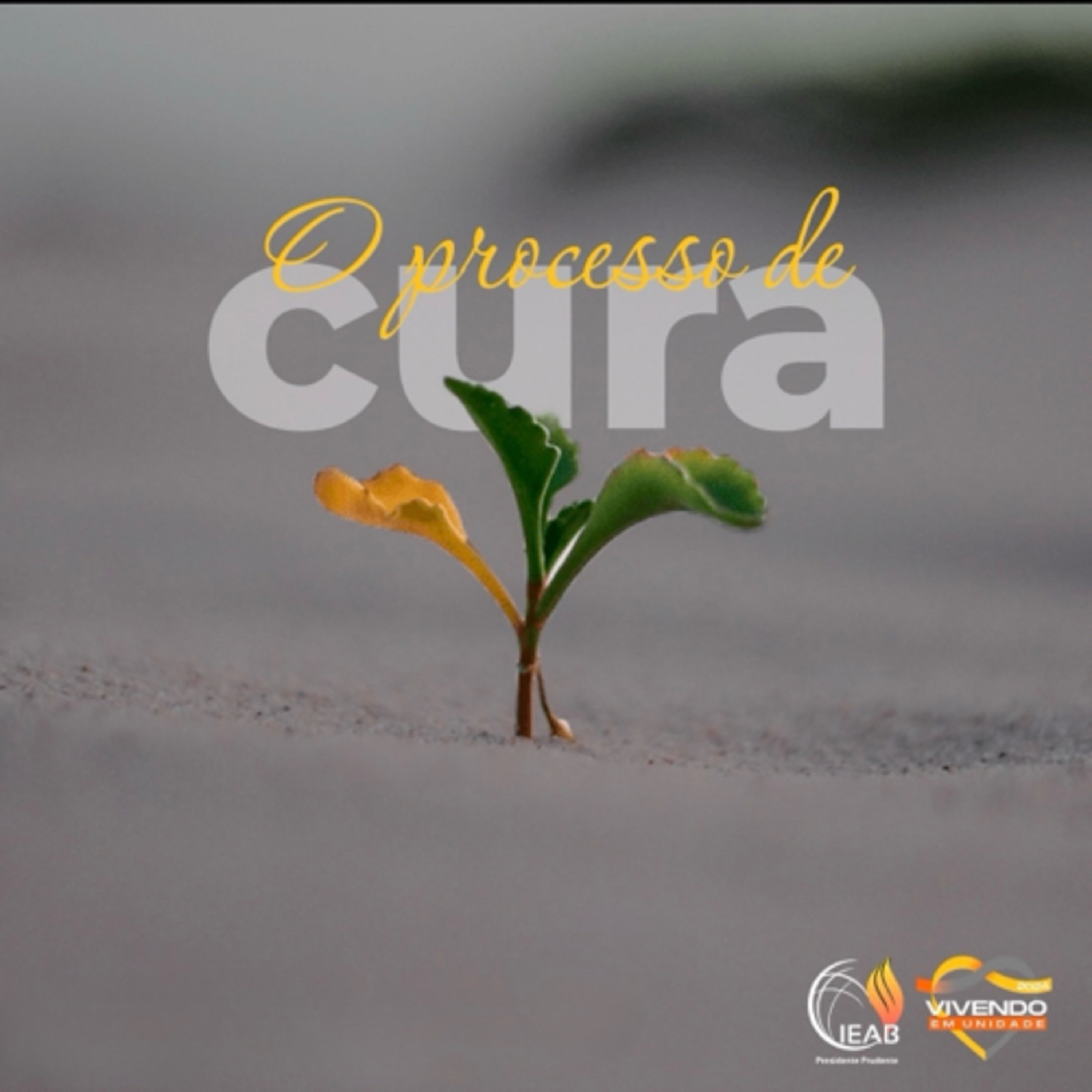 IEAB PRUDENTE - Igreja Evangélica Avivamento Bíblico de Presidente Prudente