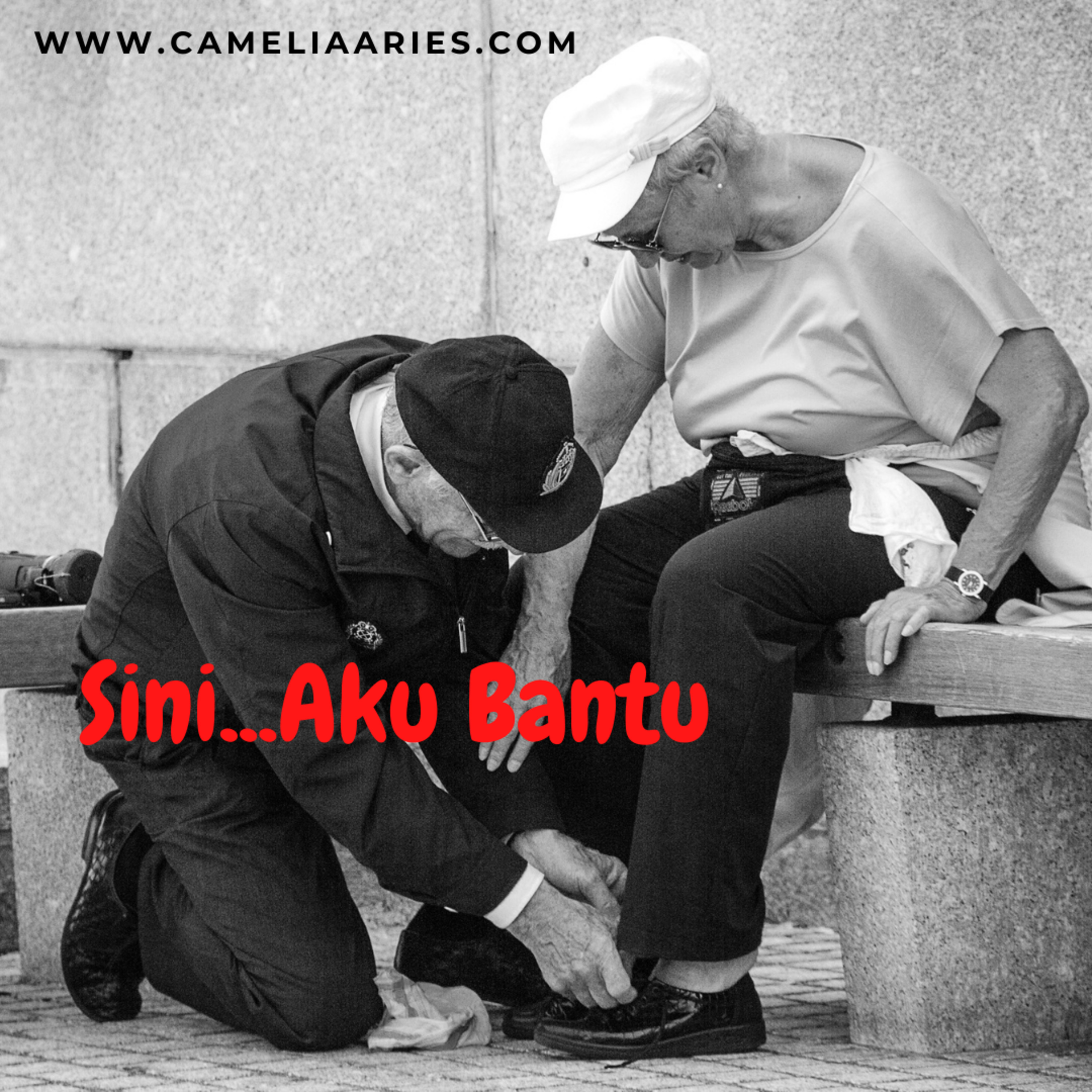 CARI Podcast