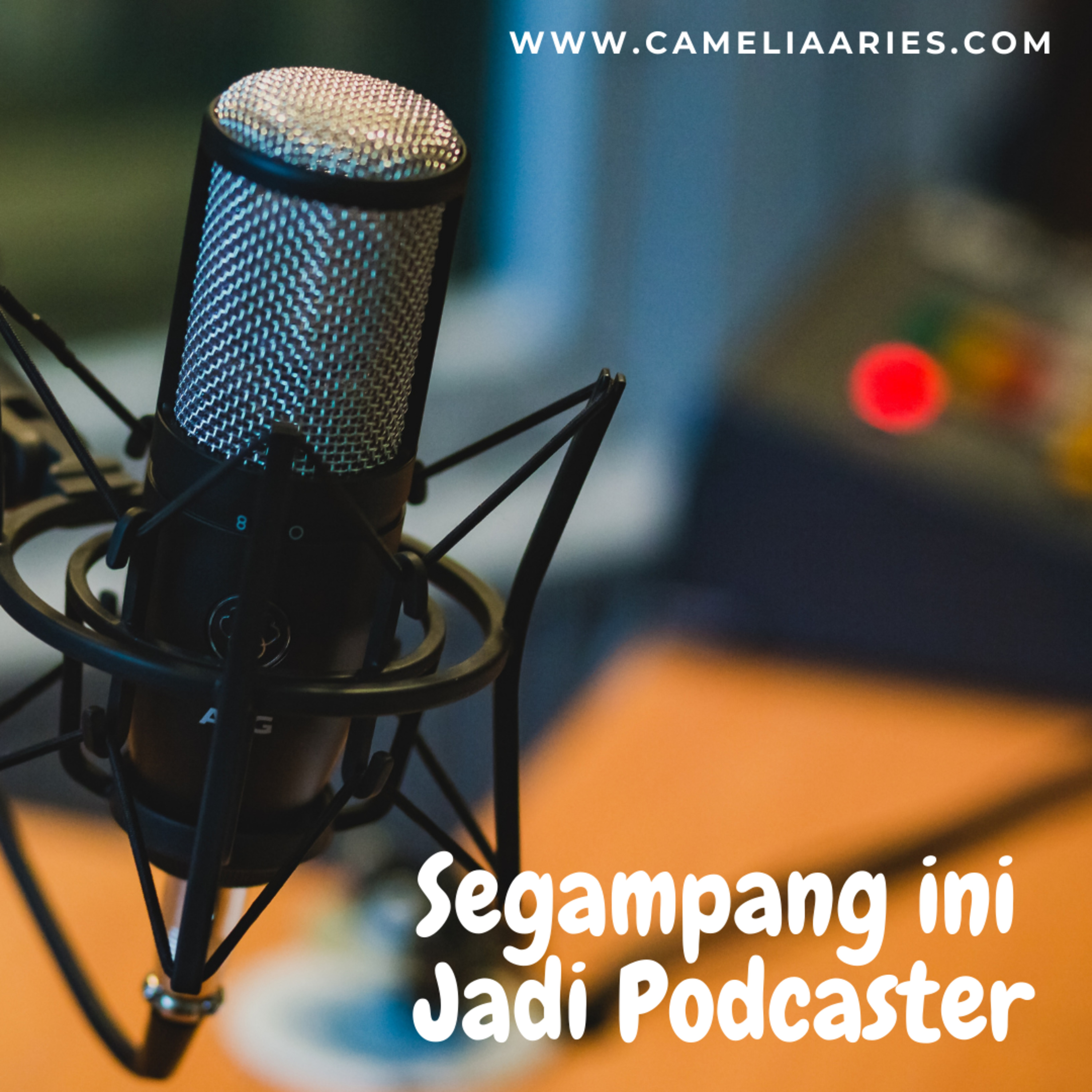 CARI Podcast