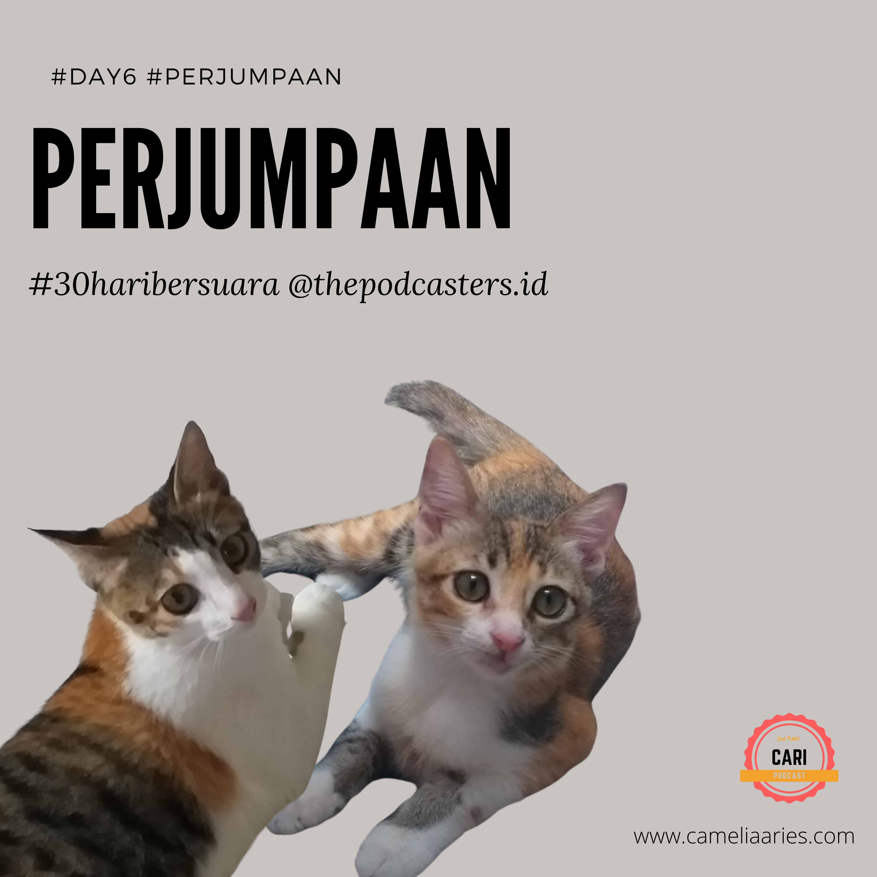CARI Podcast