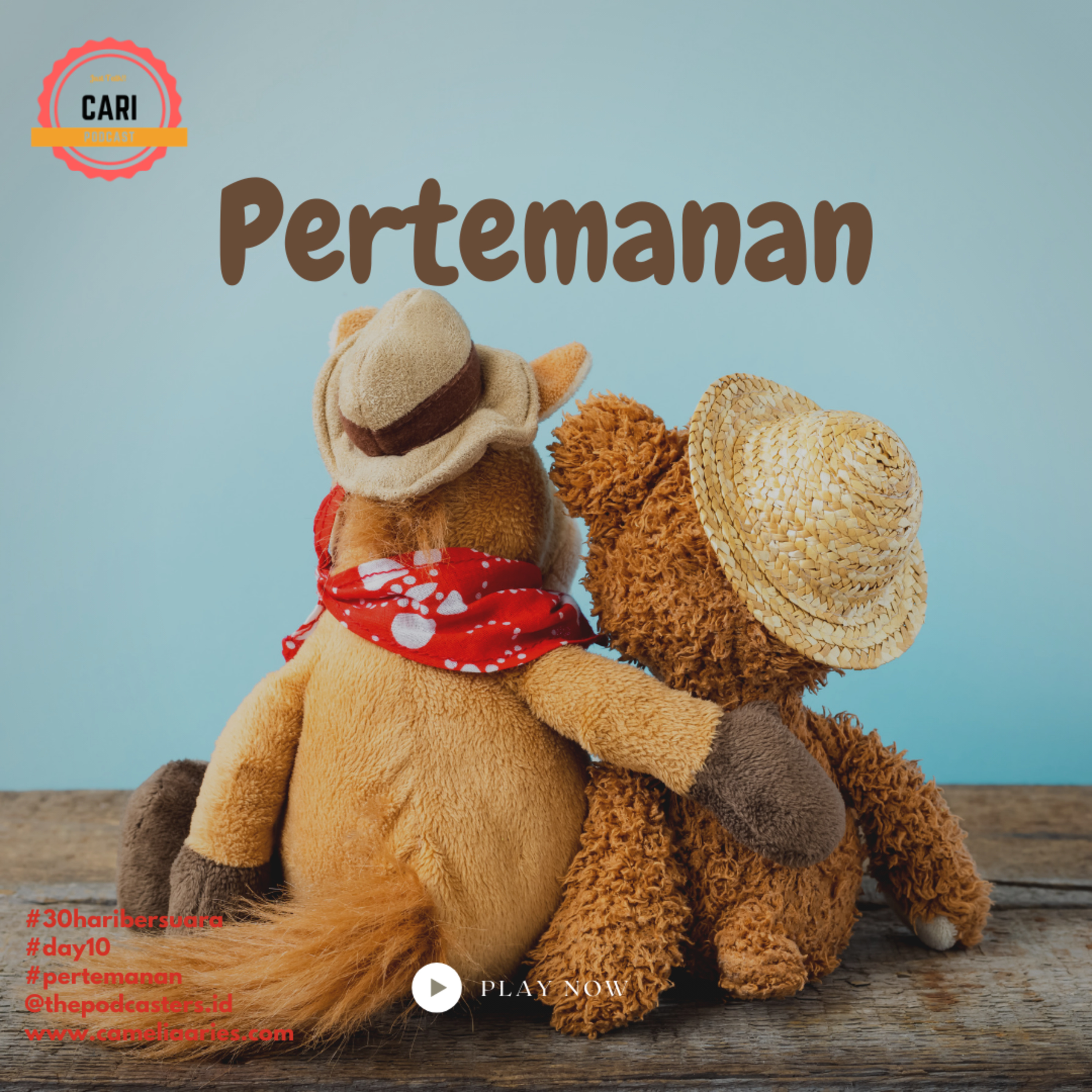 CARI Podcast