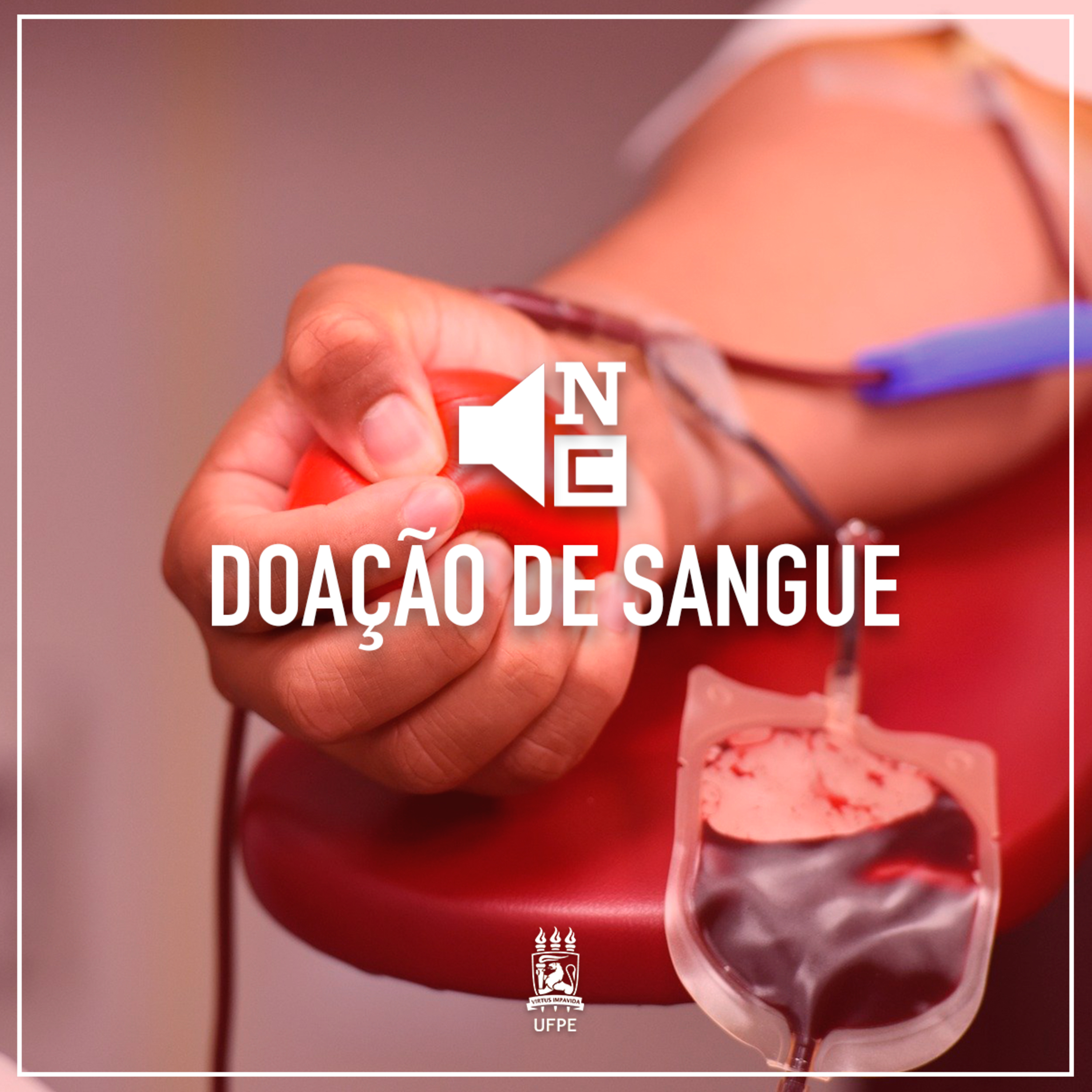 Notícias do Campus