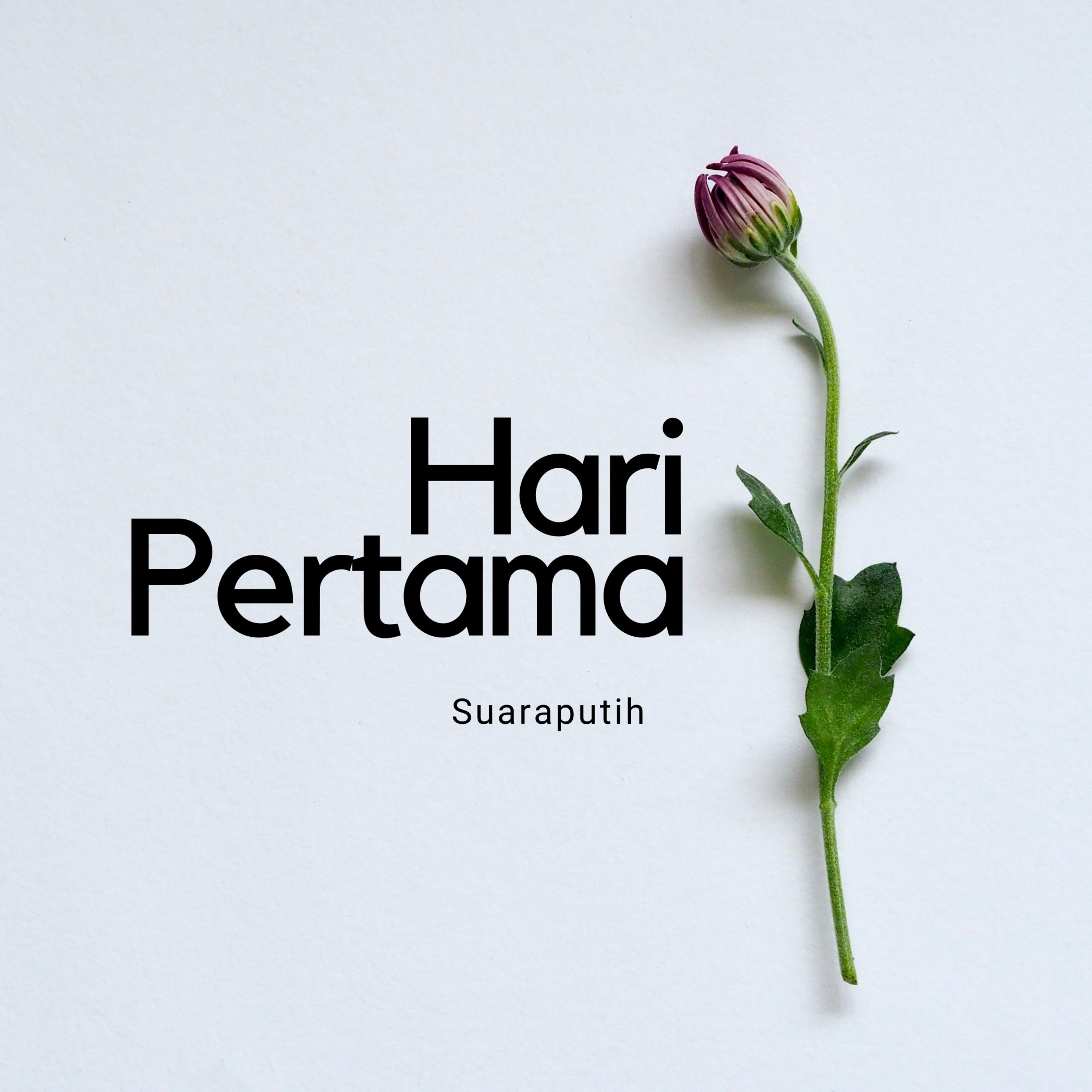 Eps 1. Hari Pertama  episode artwork