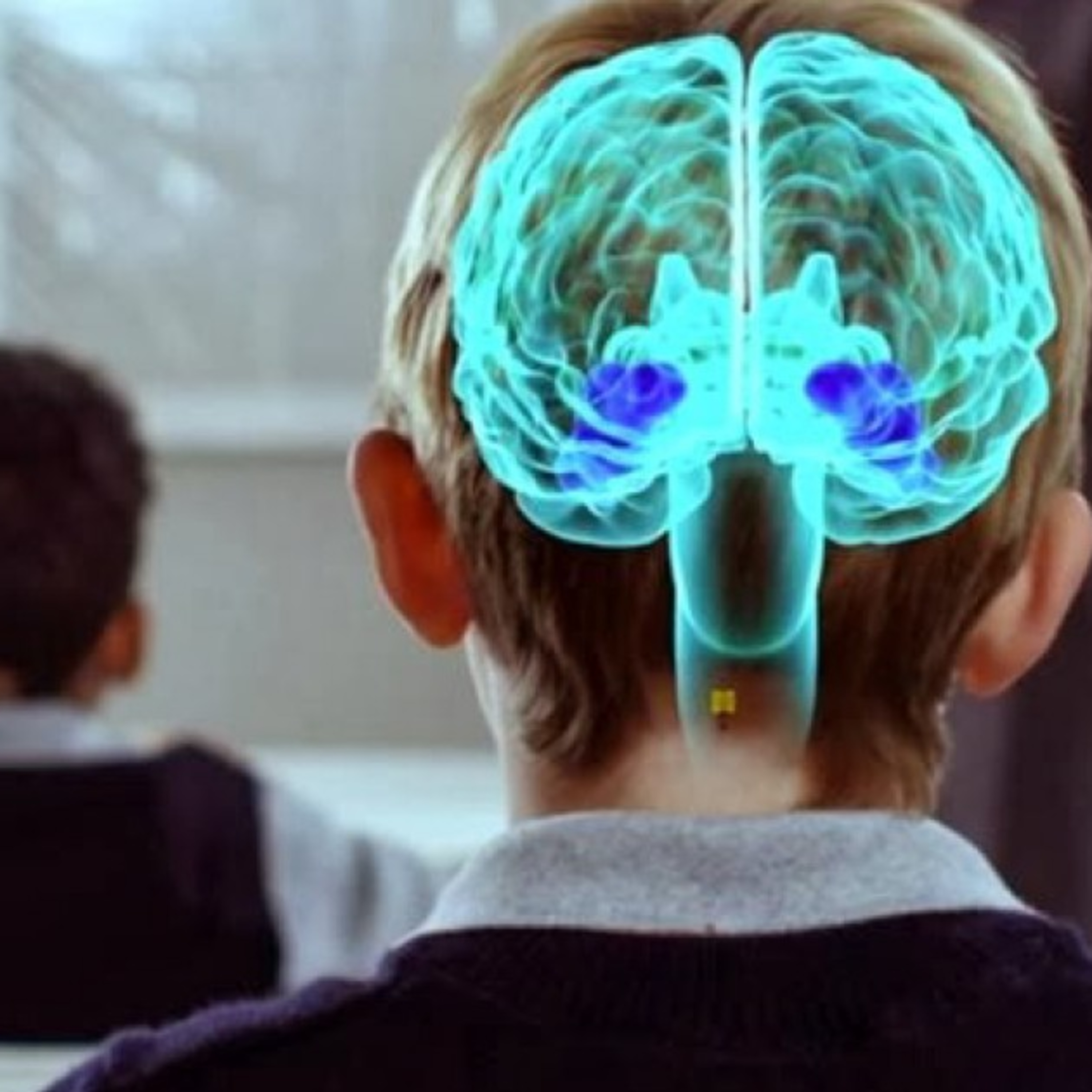 El Reto actual de la Educación a Distancia - La Neuroeducación y sus Mitos.