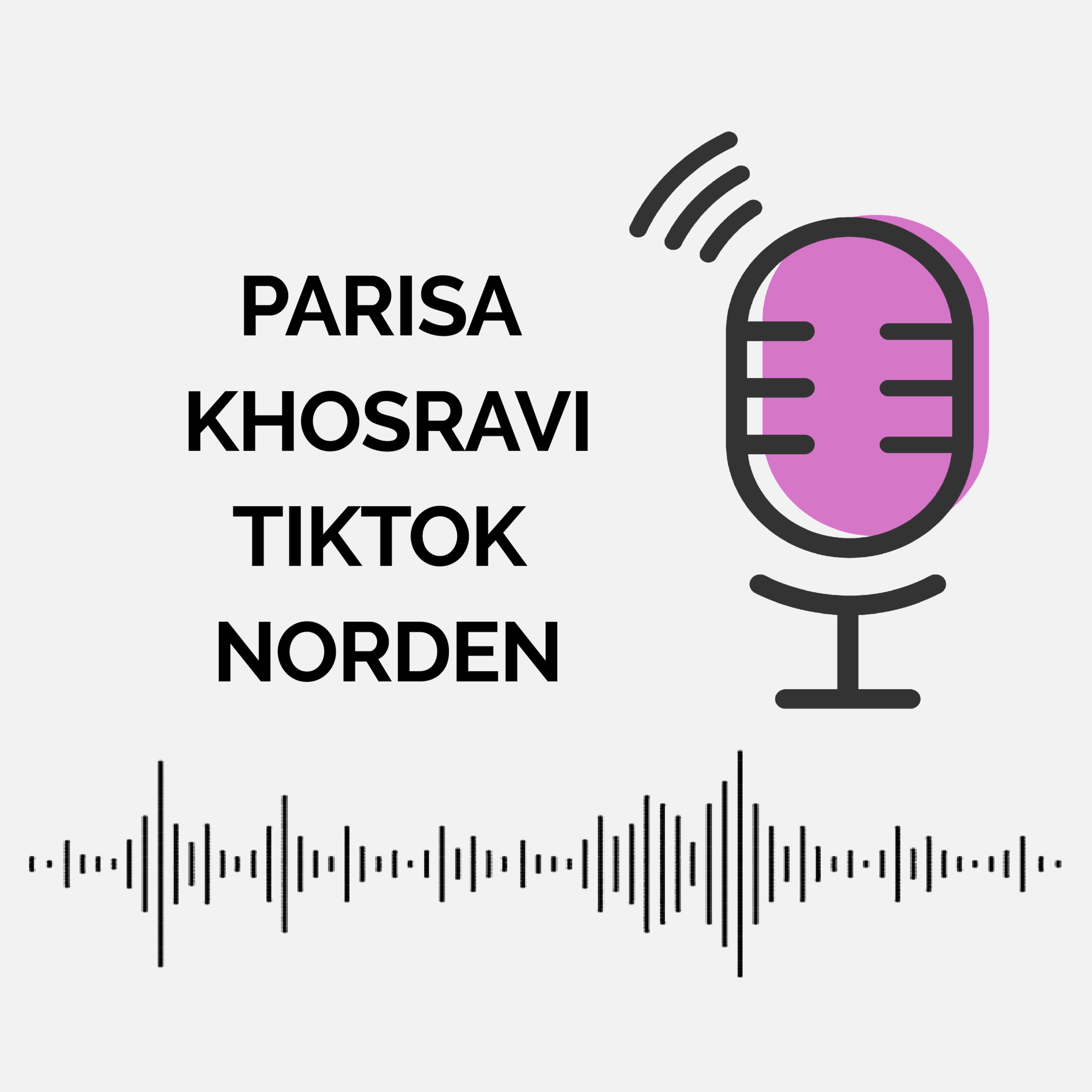 Digitalsnack - Sociala medier