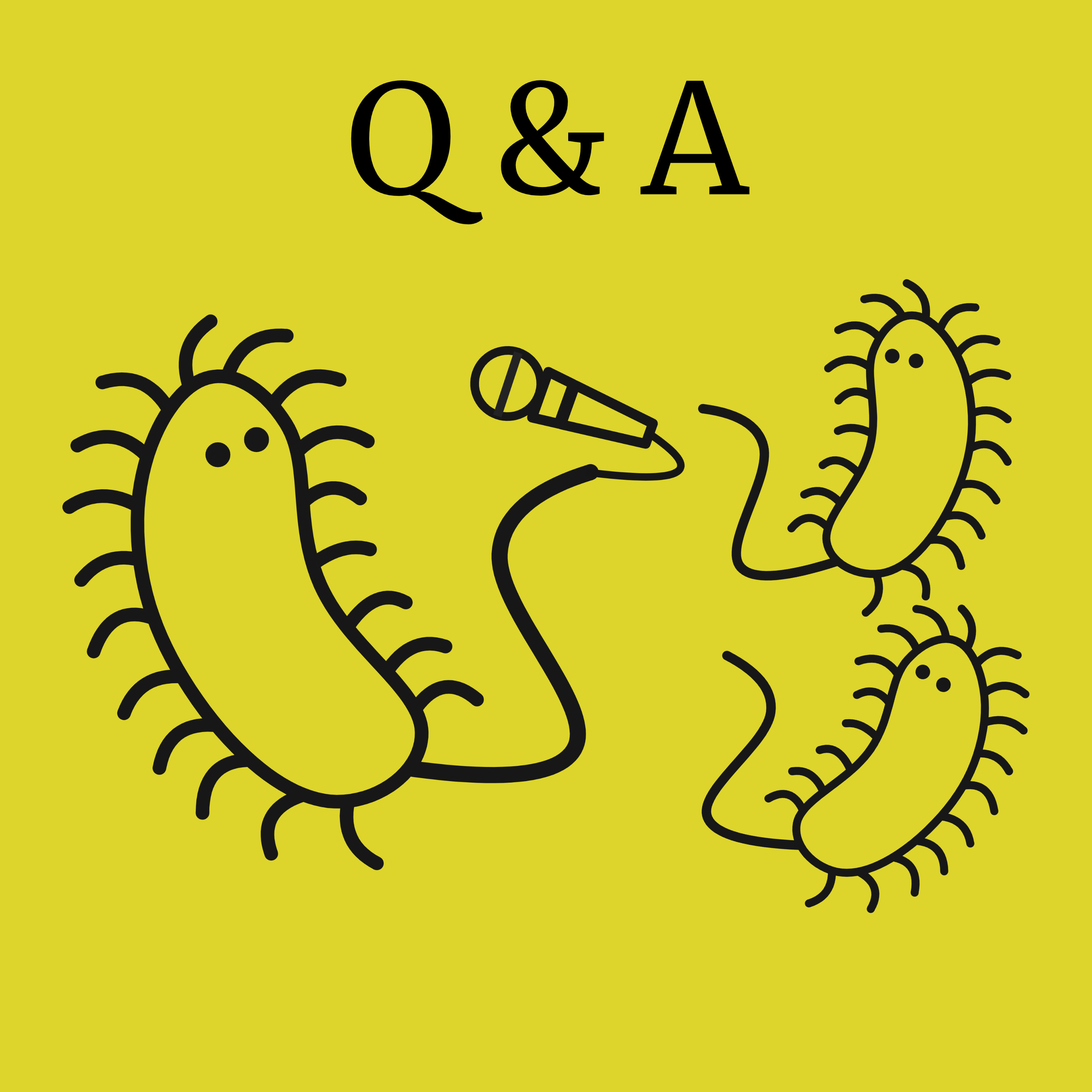 Q&A: micro vragen en macro antwoorden episode artwork