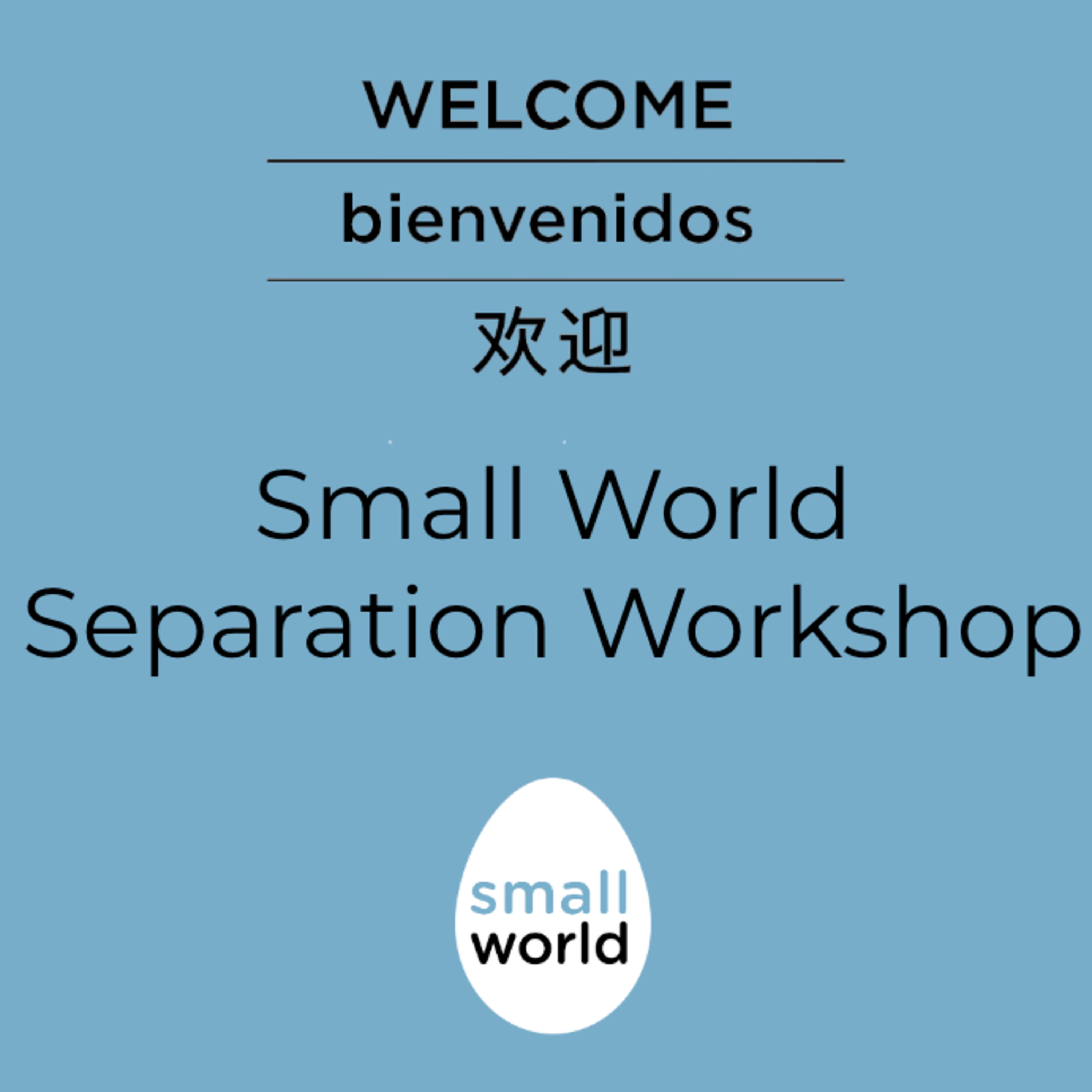 Small World Separation Workshop for Parents episode artwork