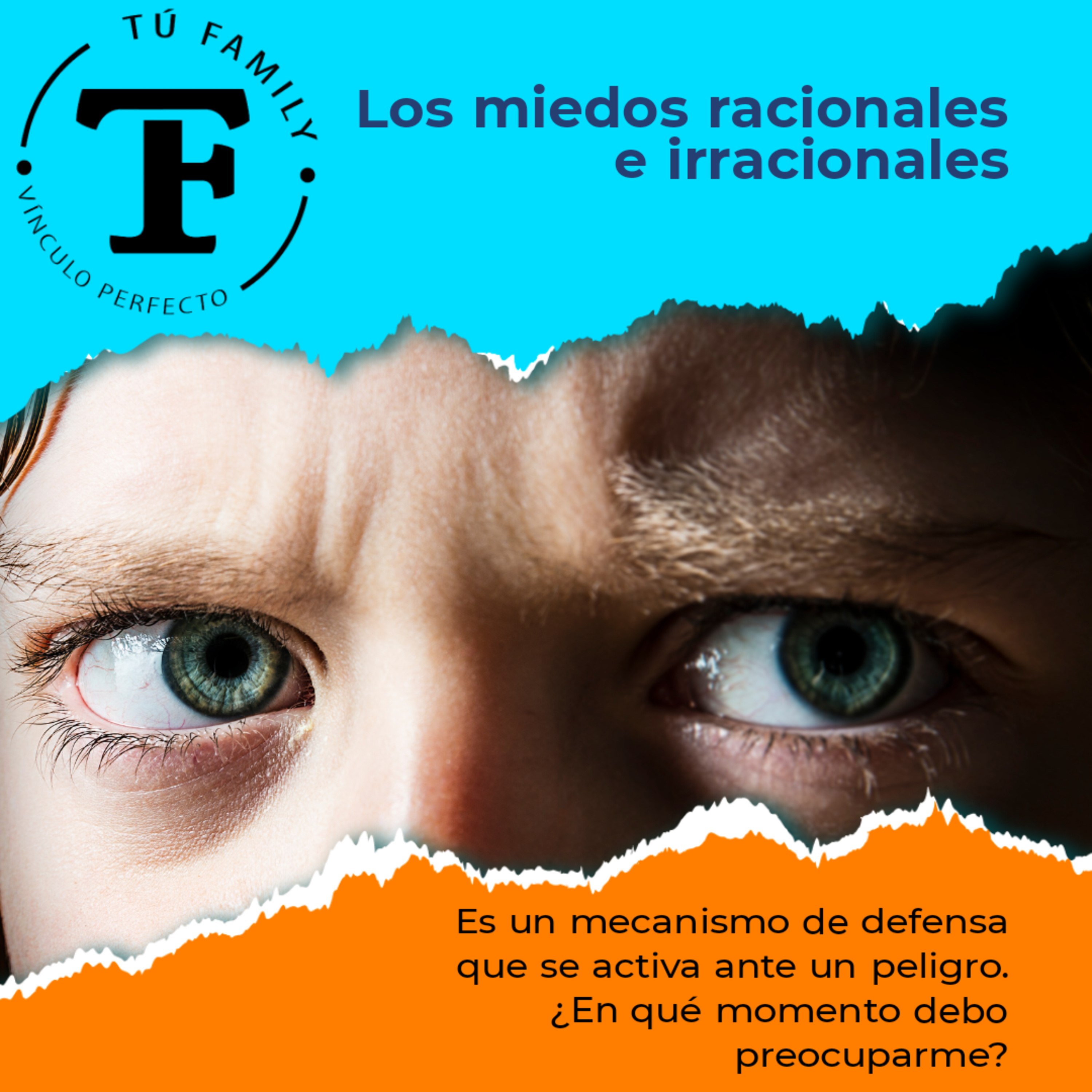 Miedos Racionales e Irracionales (TuFamily) episode artwork