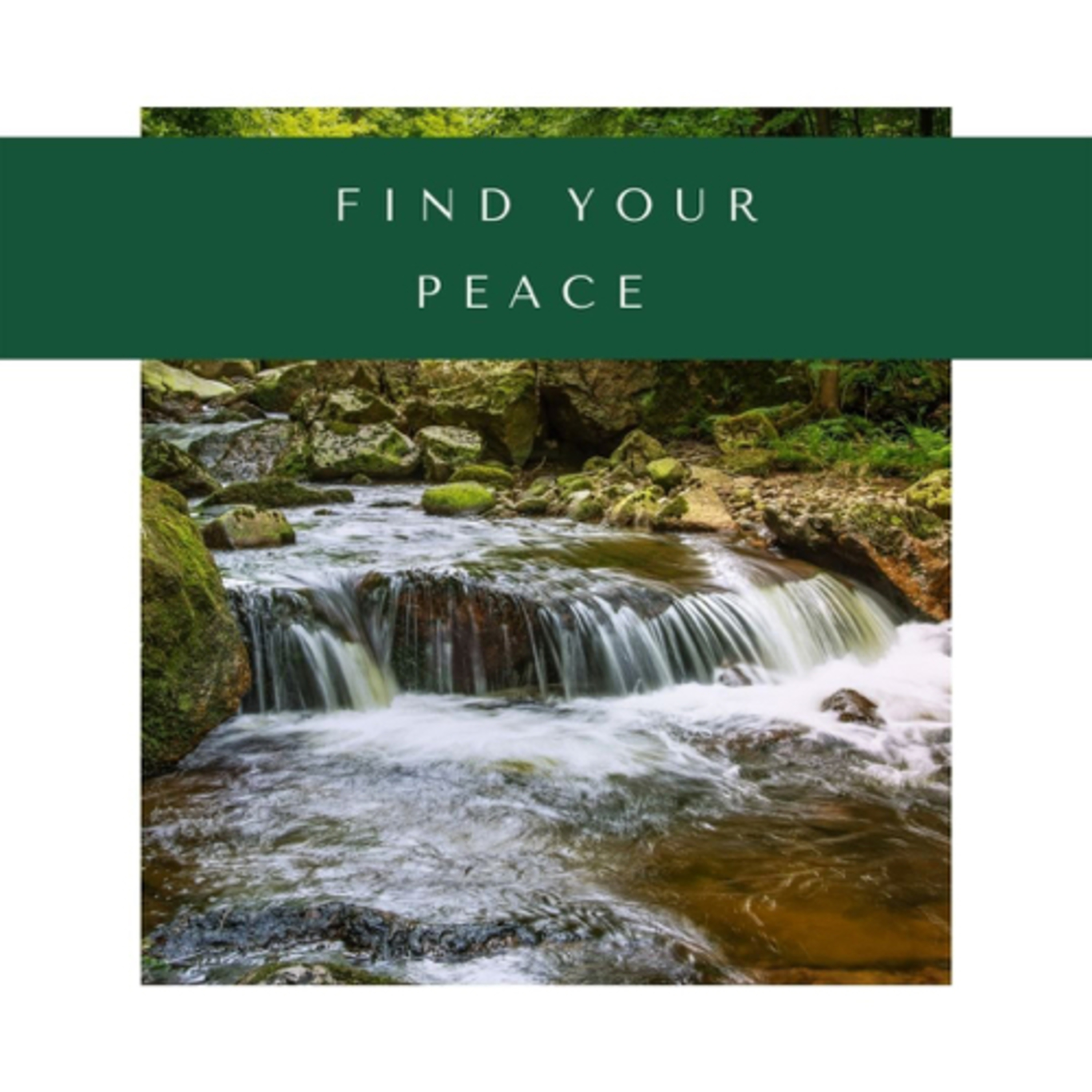 Finding Your Peace 🌱 episode artwork