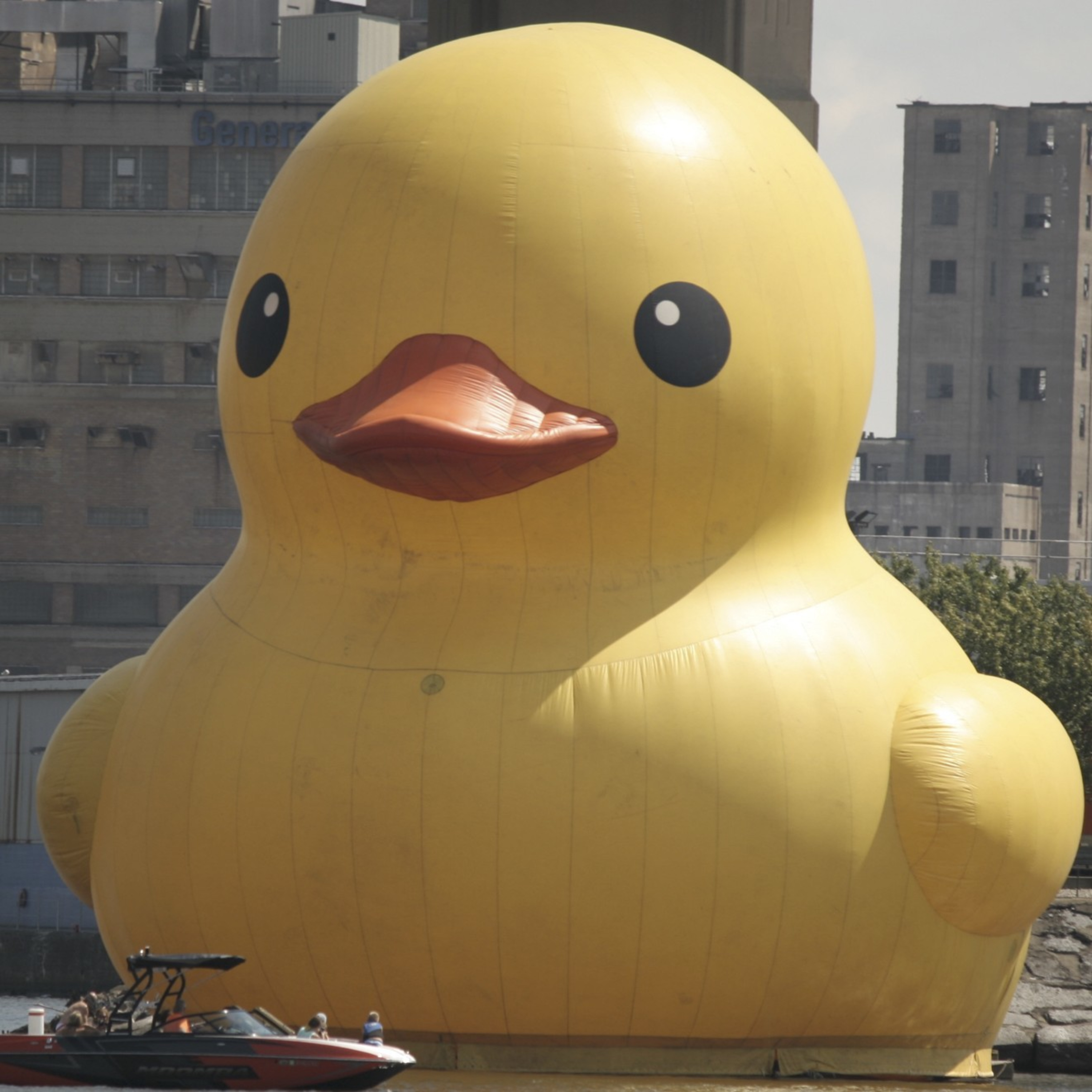 Episode #49 - If it were any bigger, it'd be way too big episode artwork