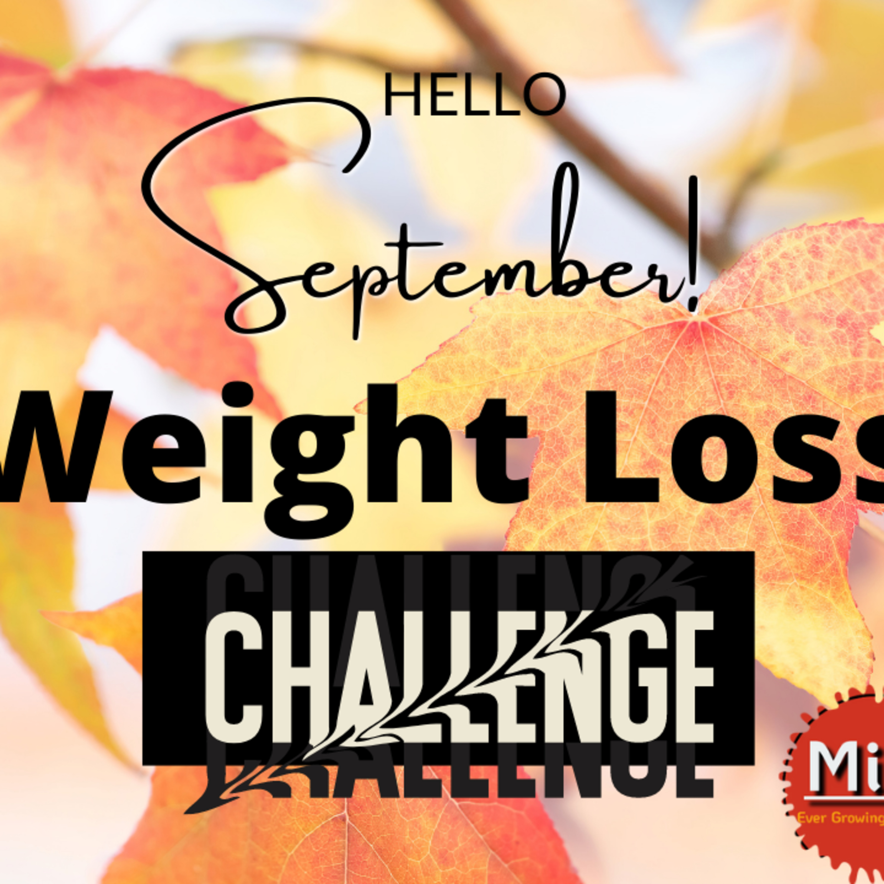 Fall Weight Loss Challenge episode artwork