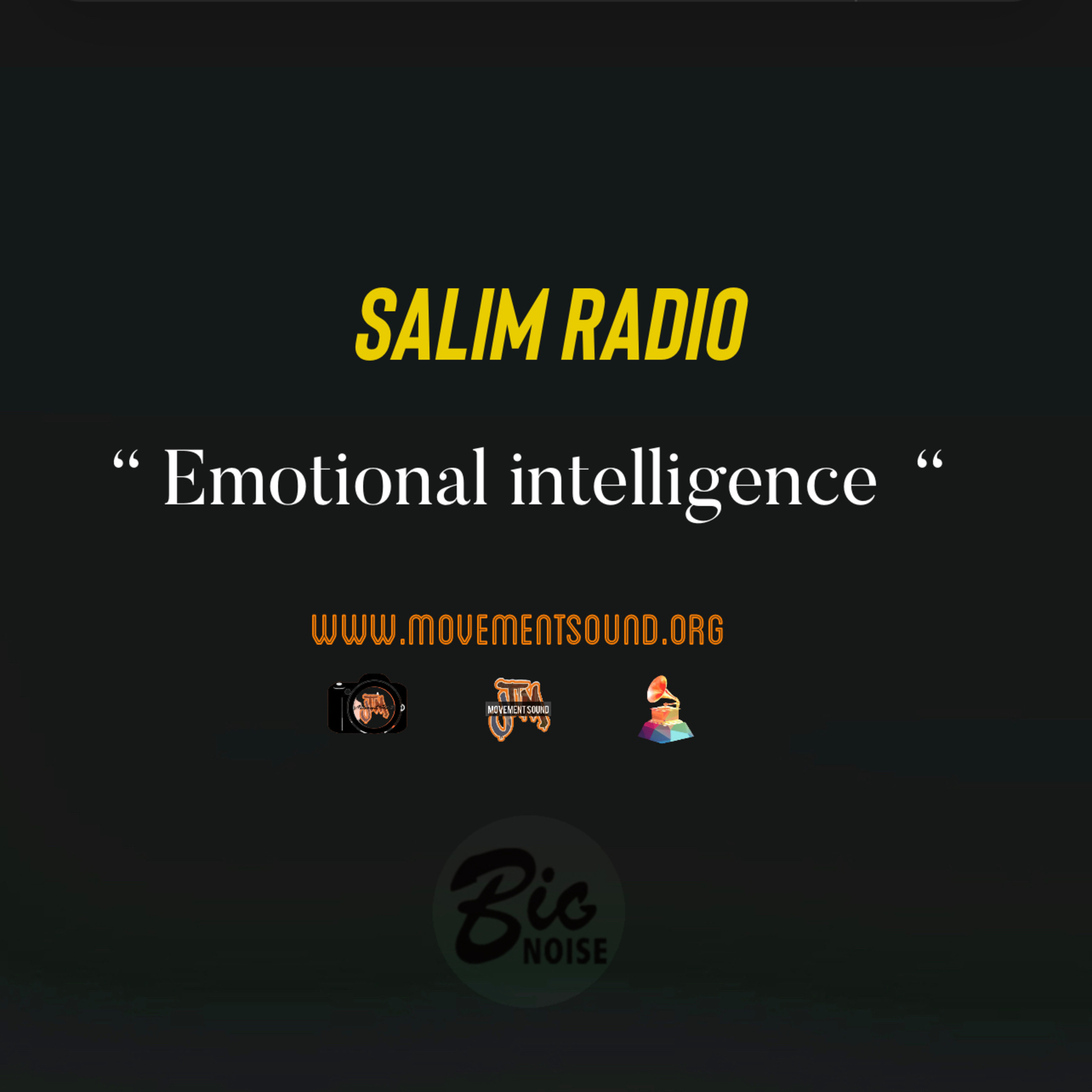 Emotional intelligence episode artwork