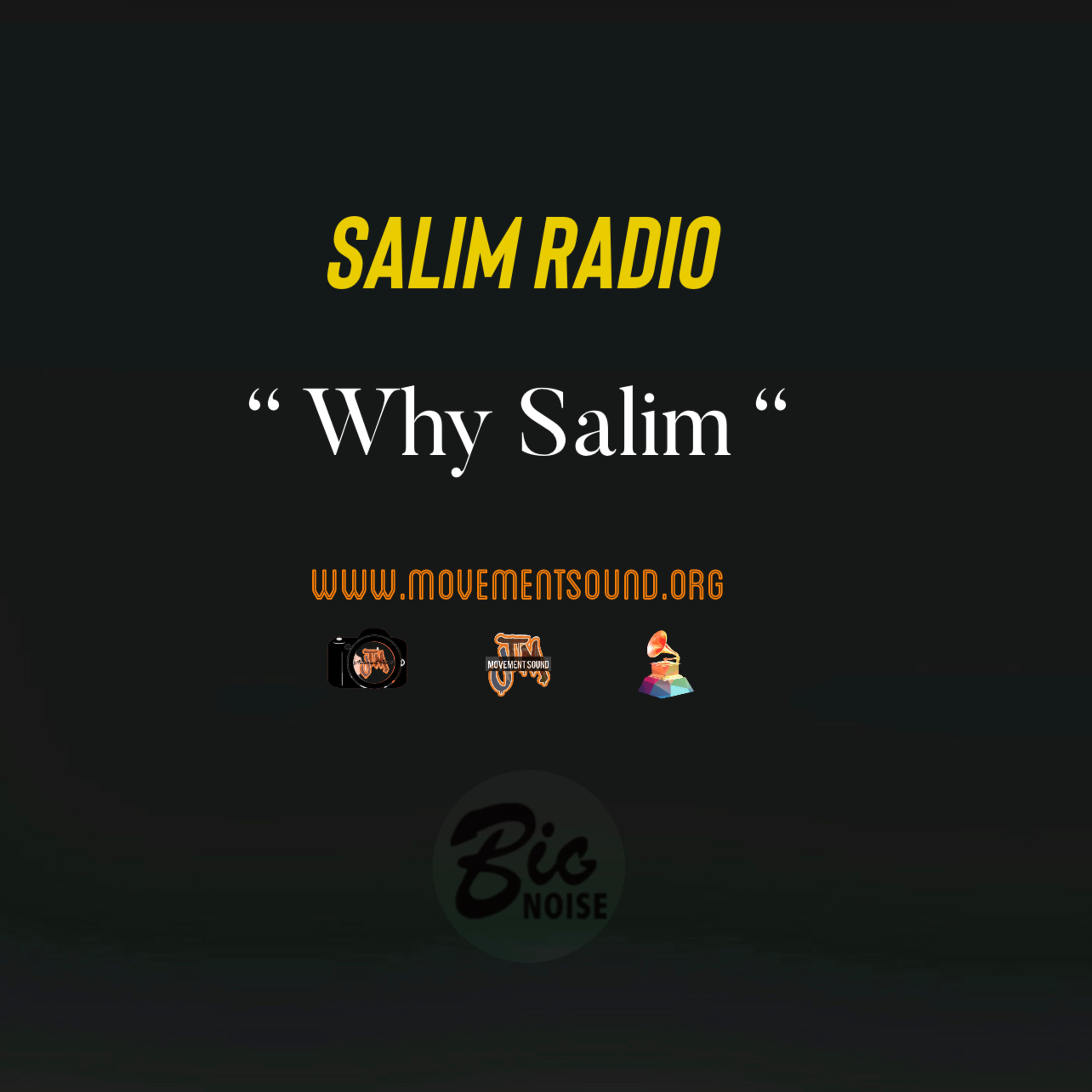 Why Salim ? episode artwork