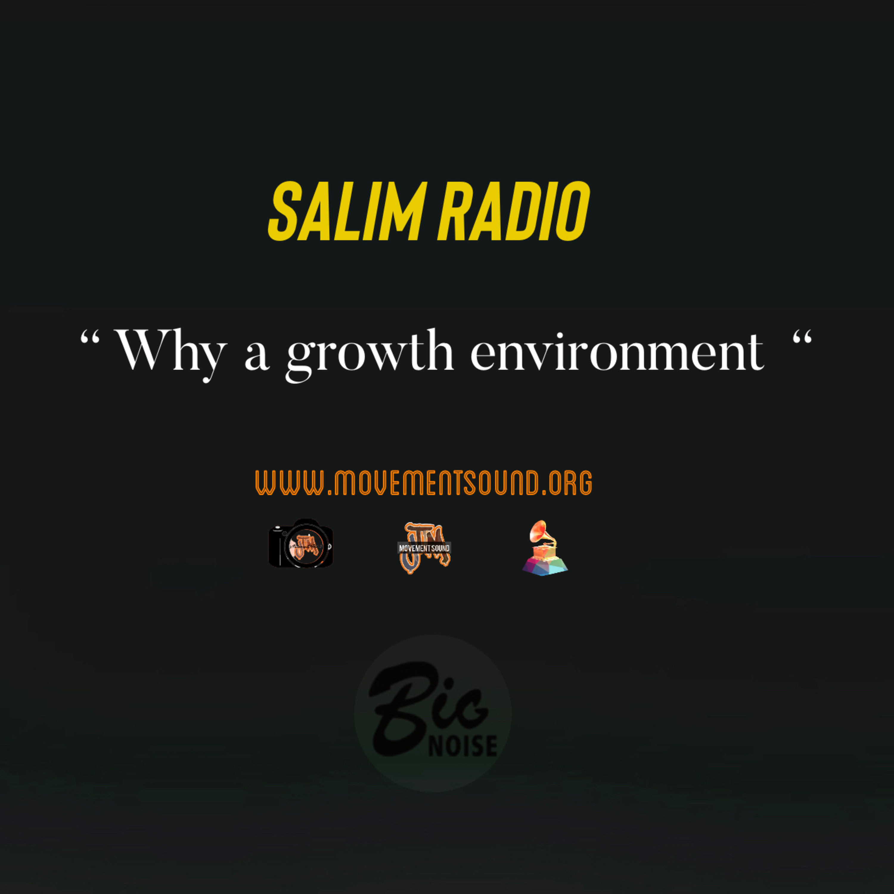 Why a growth environment  episode artwork