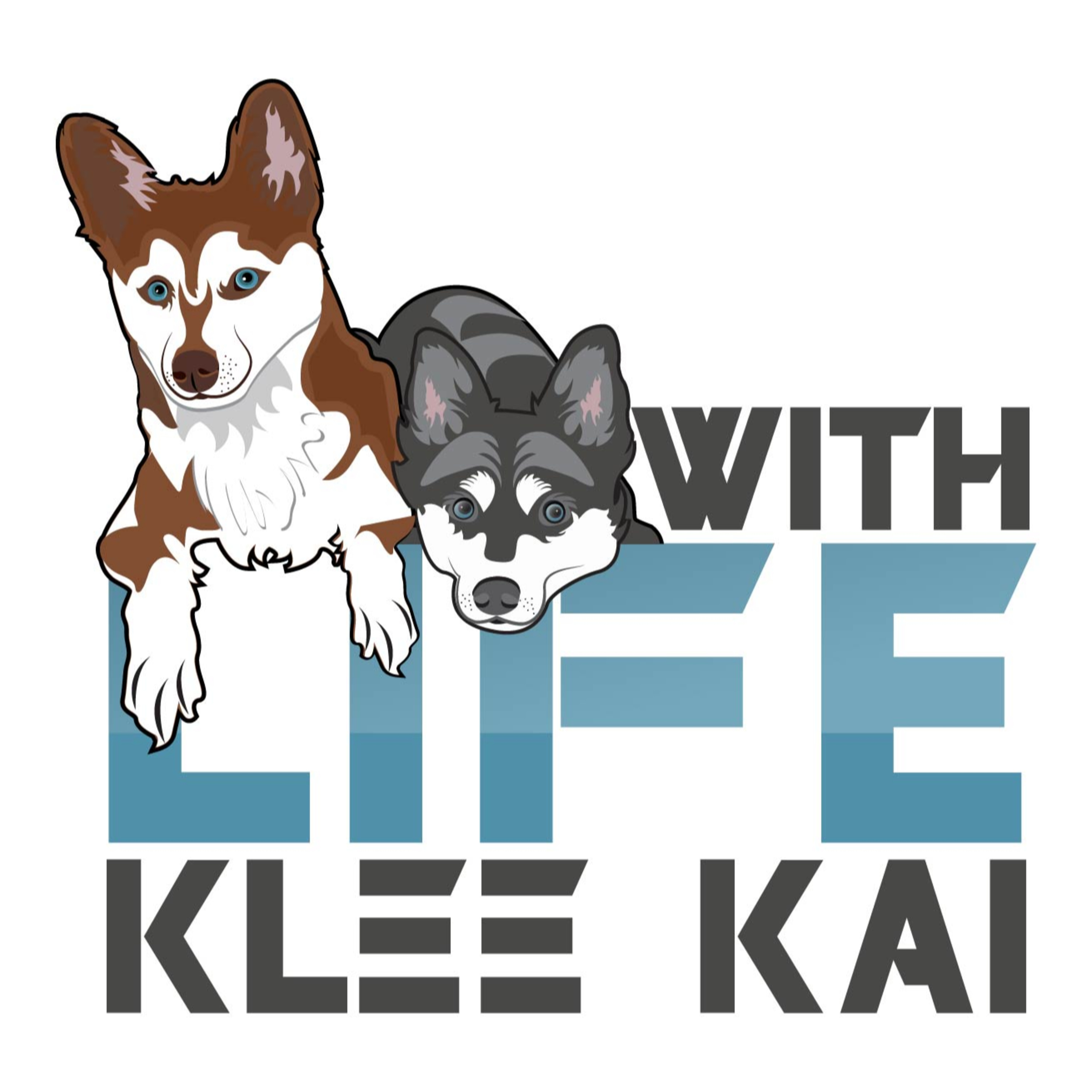Life With Klee Kai Episode 1 - Baylee / Myloveonpaws