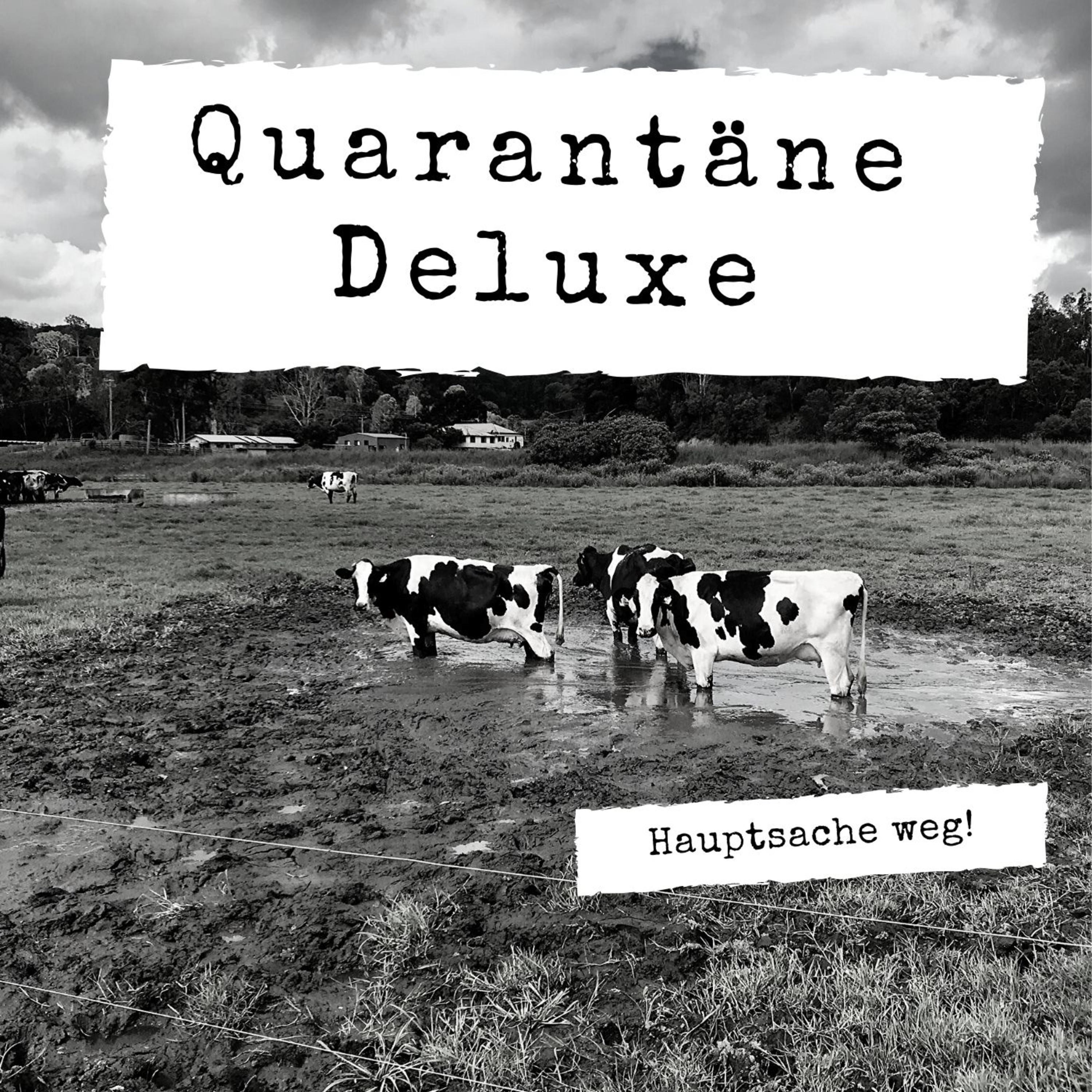 Hauptsache weg!