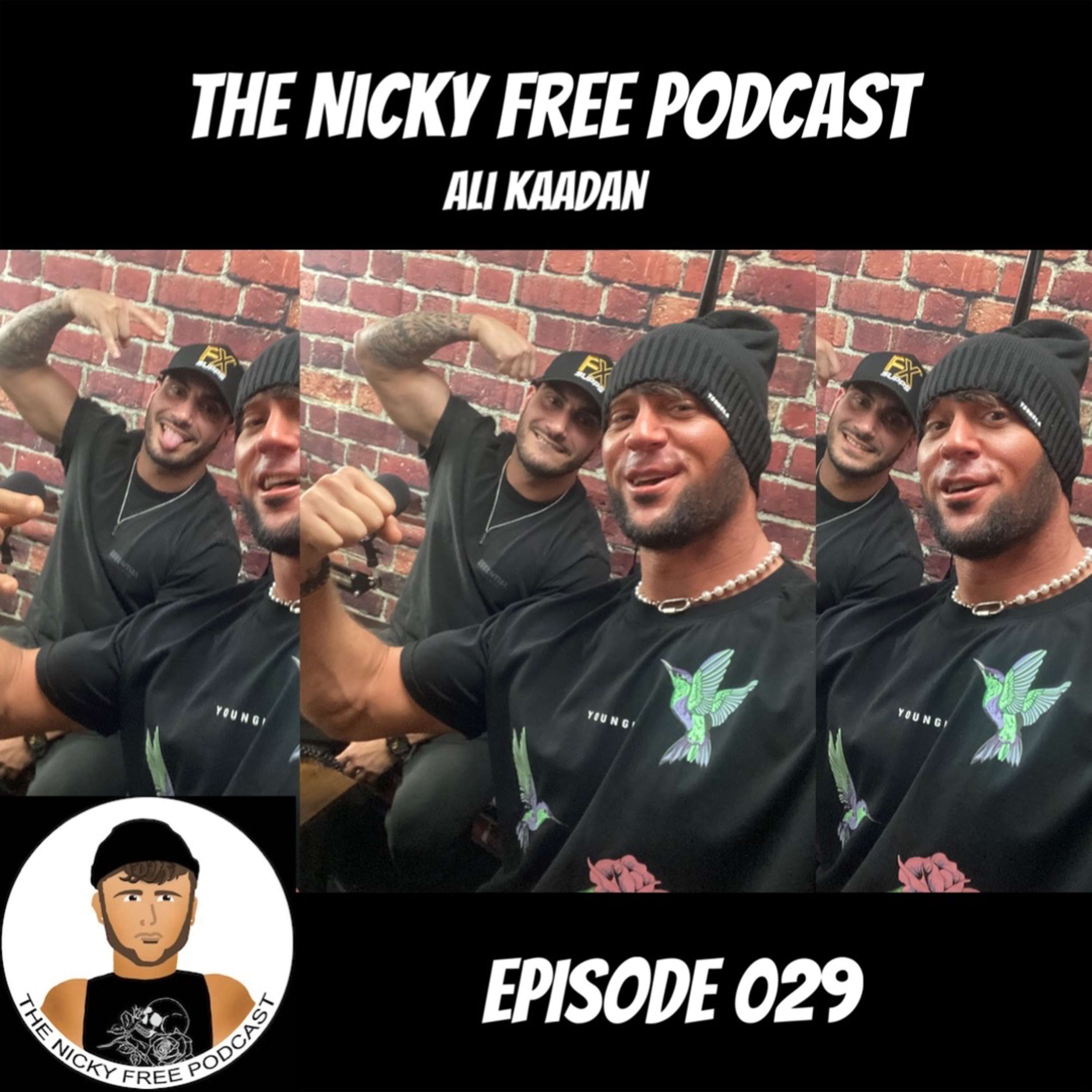 The Nicky Free Podcast