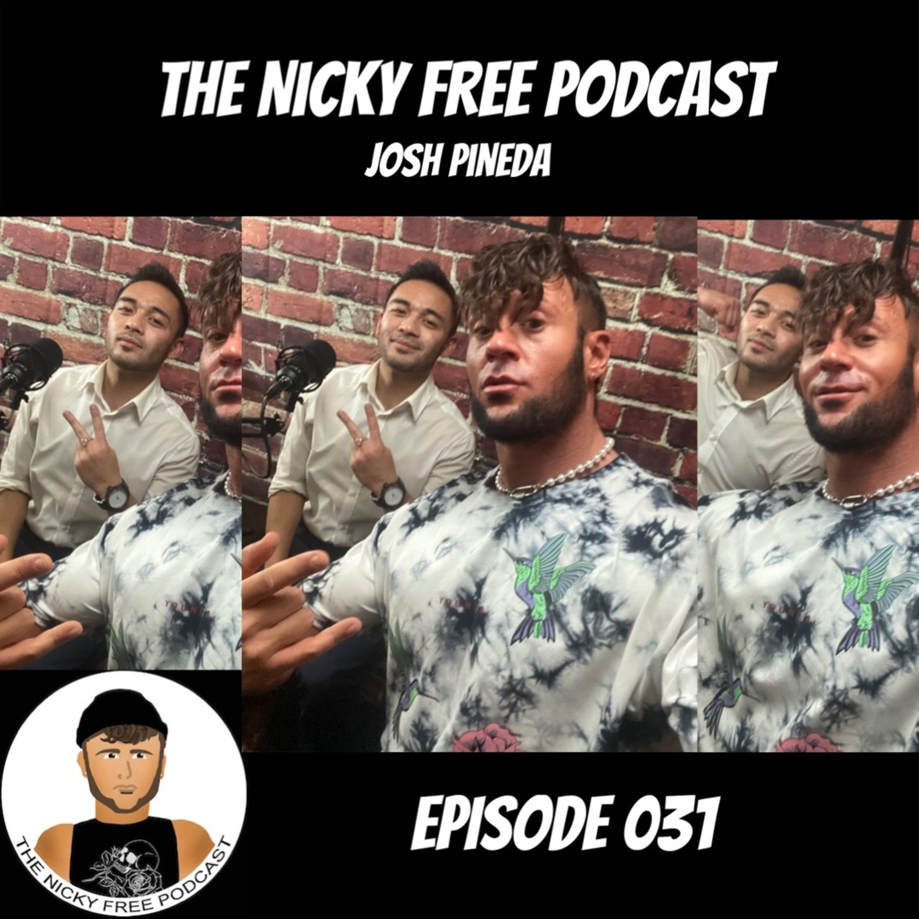 The Nicky Free Podcast