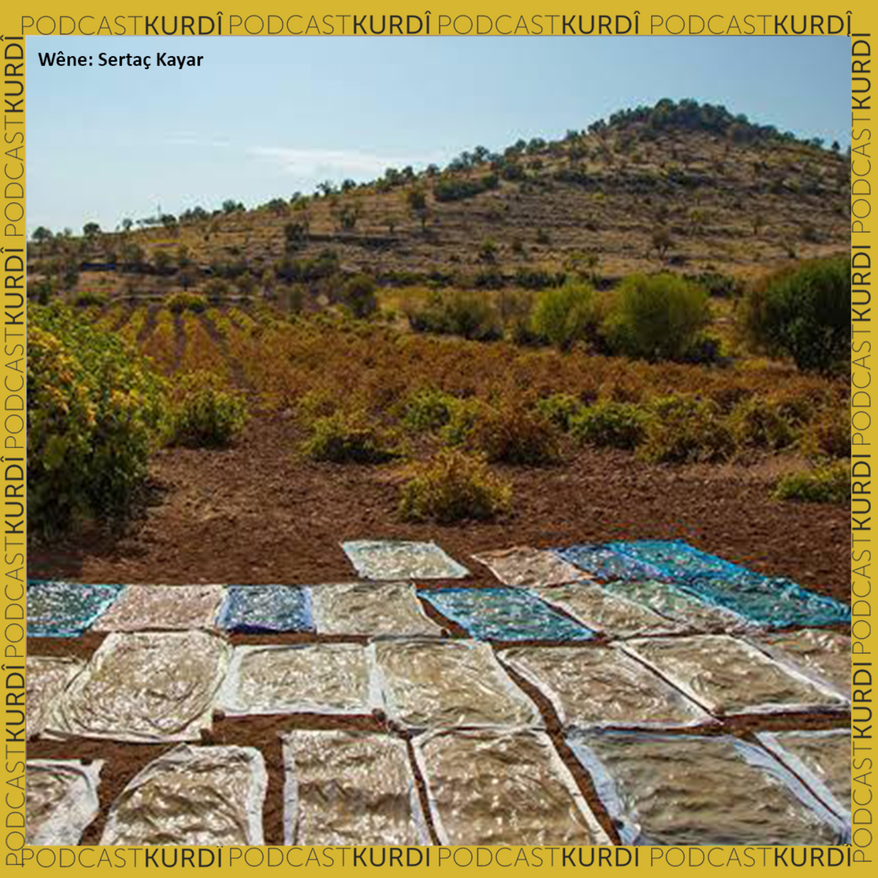 Podcast Kurdî