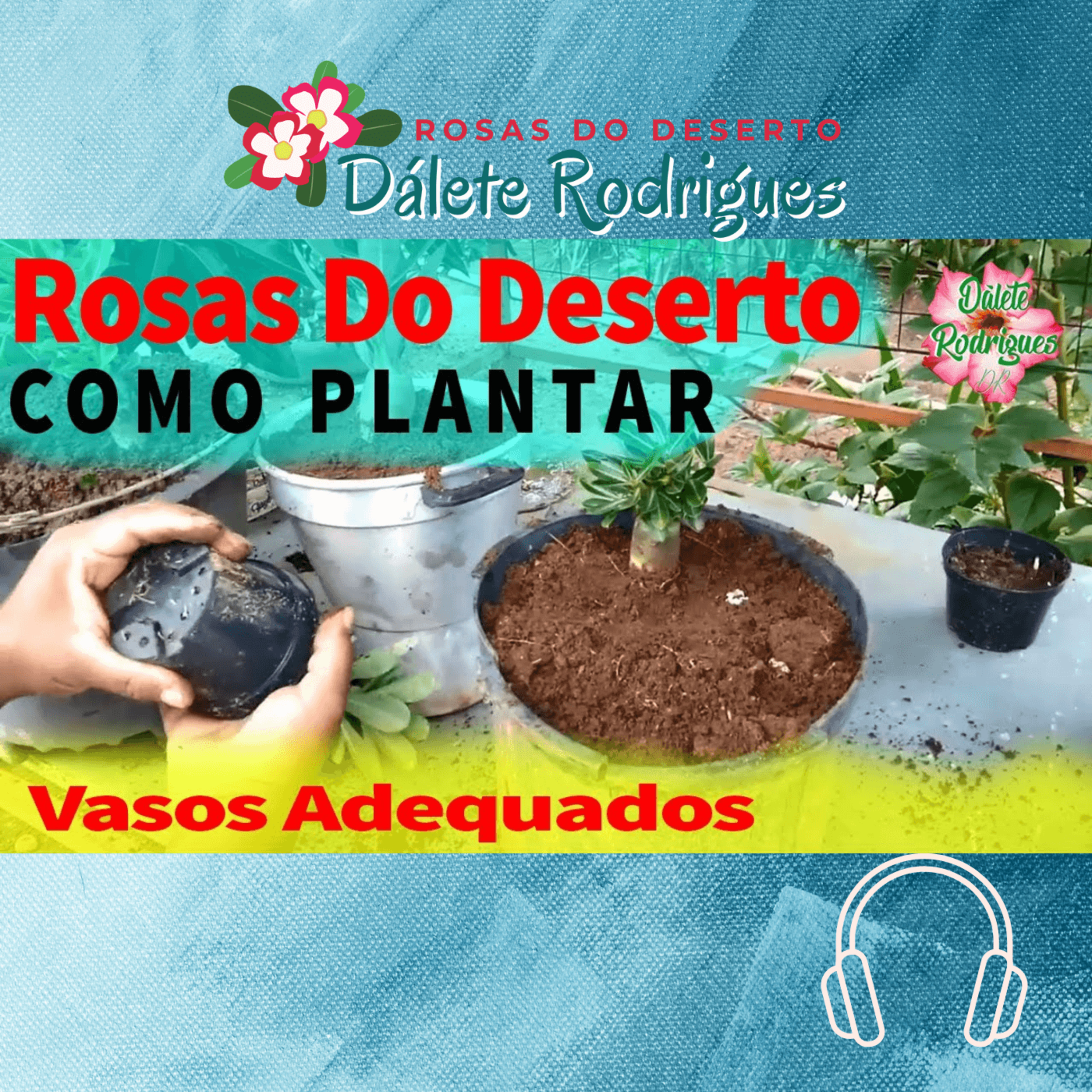 Dálete Rodrigues - Rosas Do Deserto