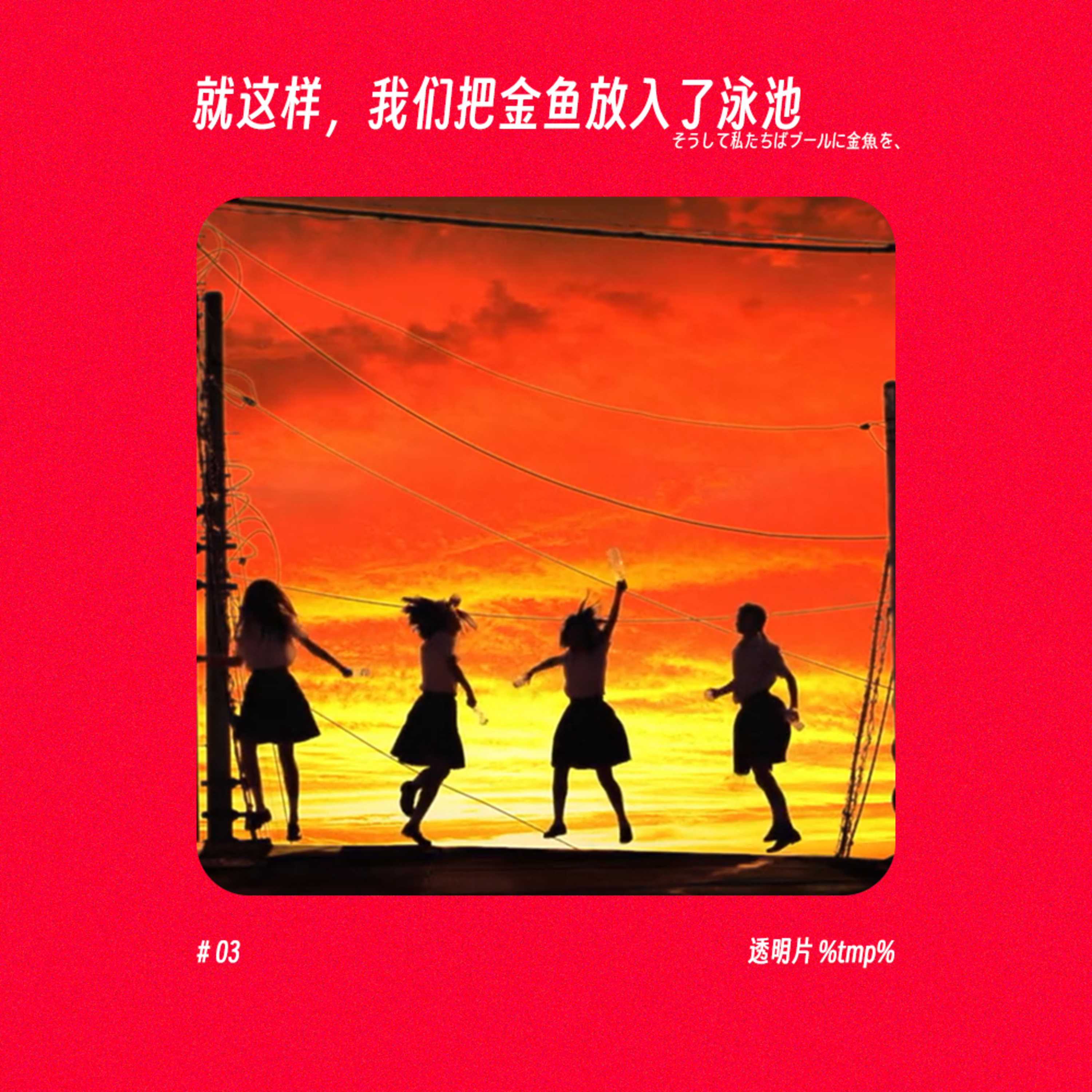 📽️ 第七艺术丨🐟 就这样，我们把金鱼放入了泳池 episode artwork