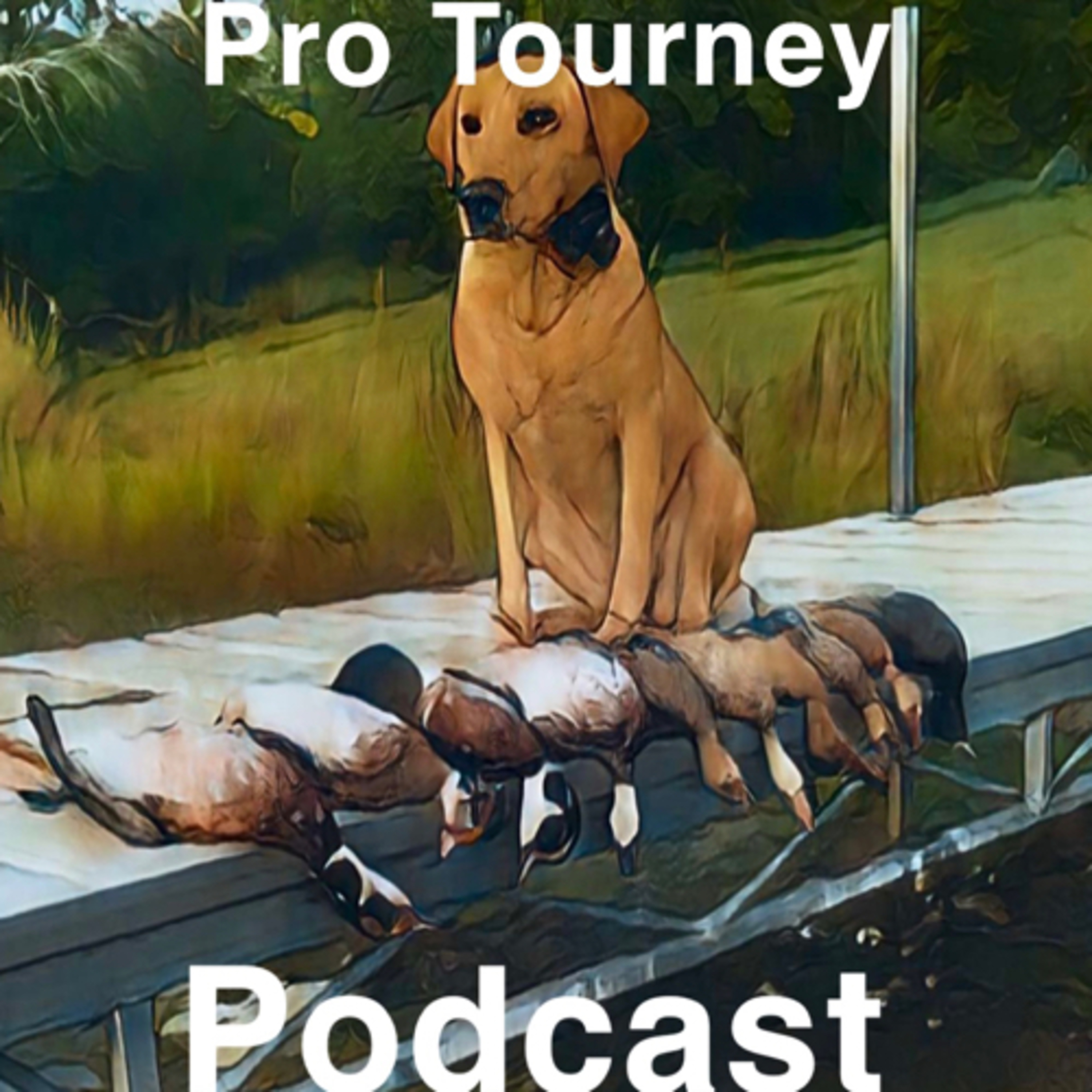 Episode 1: Pilot