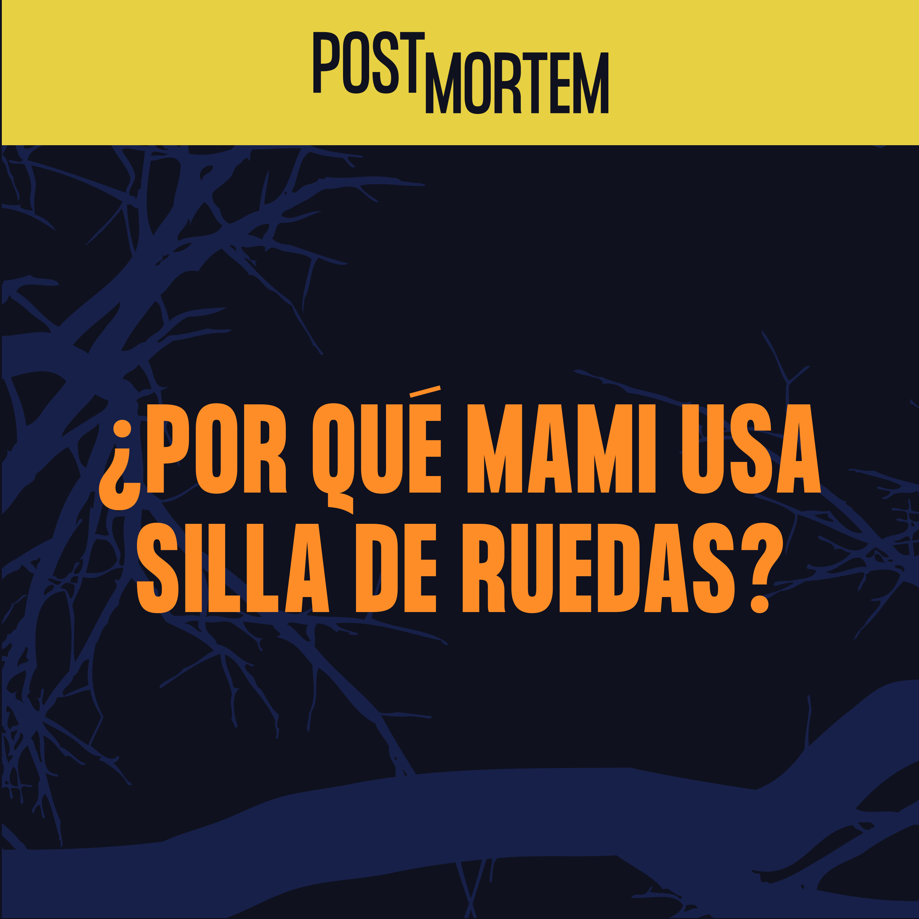 22 - ¿Por qué mami usa silla de ruedas?