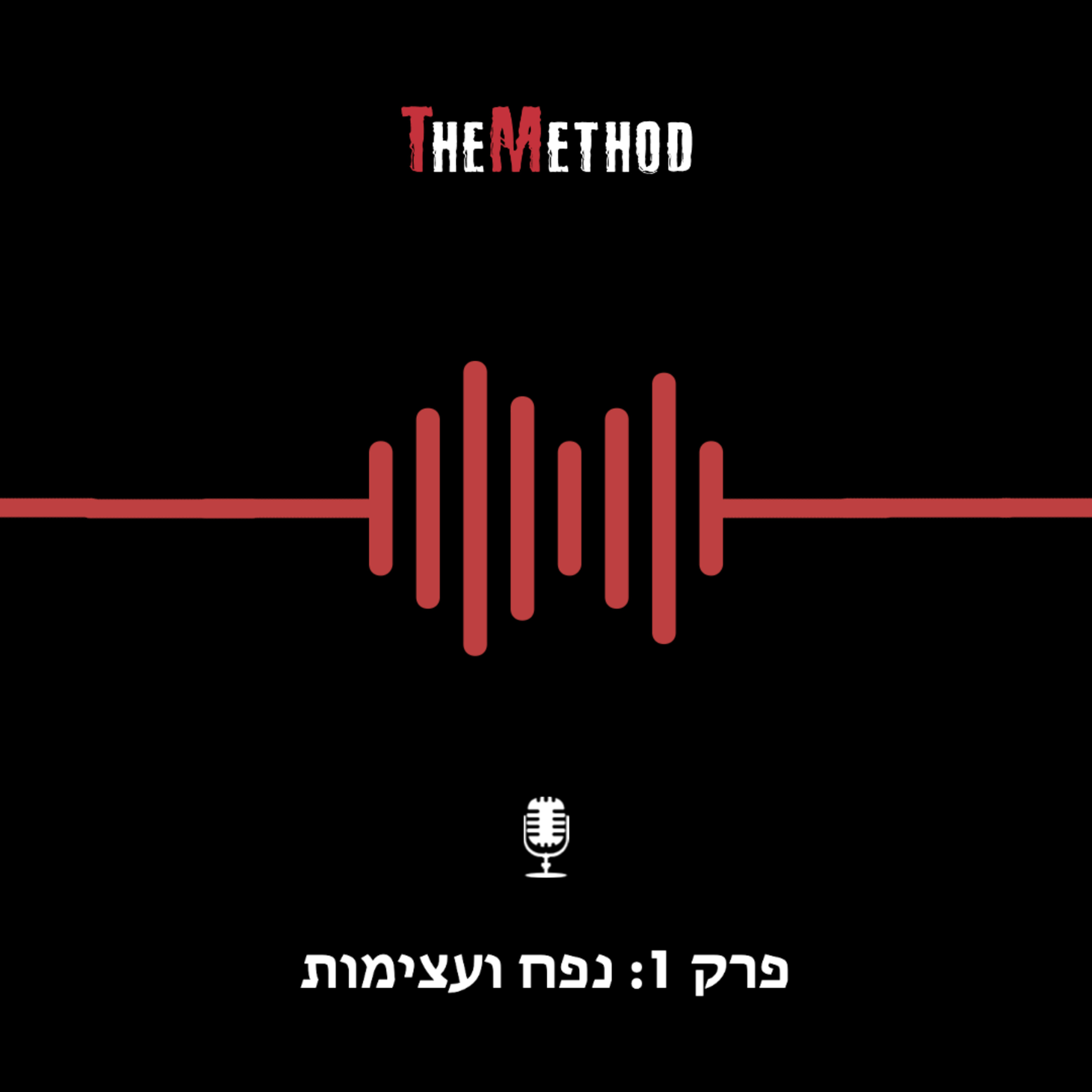 פרק 1: נפח ועצימות פרק 1: נפח ועצימות