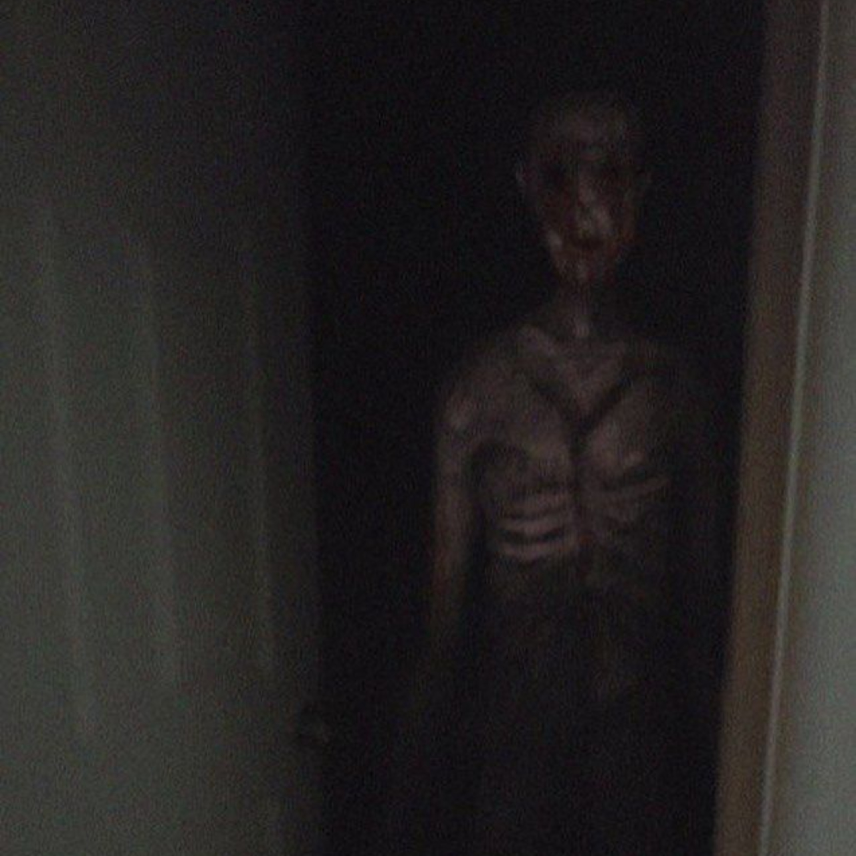 2. The Halloween Special  episode artwork