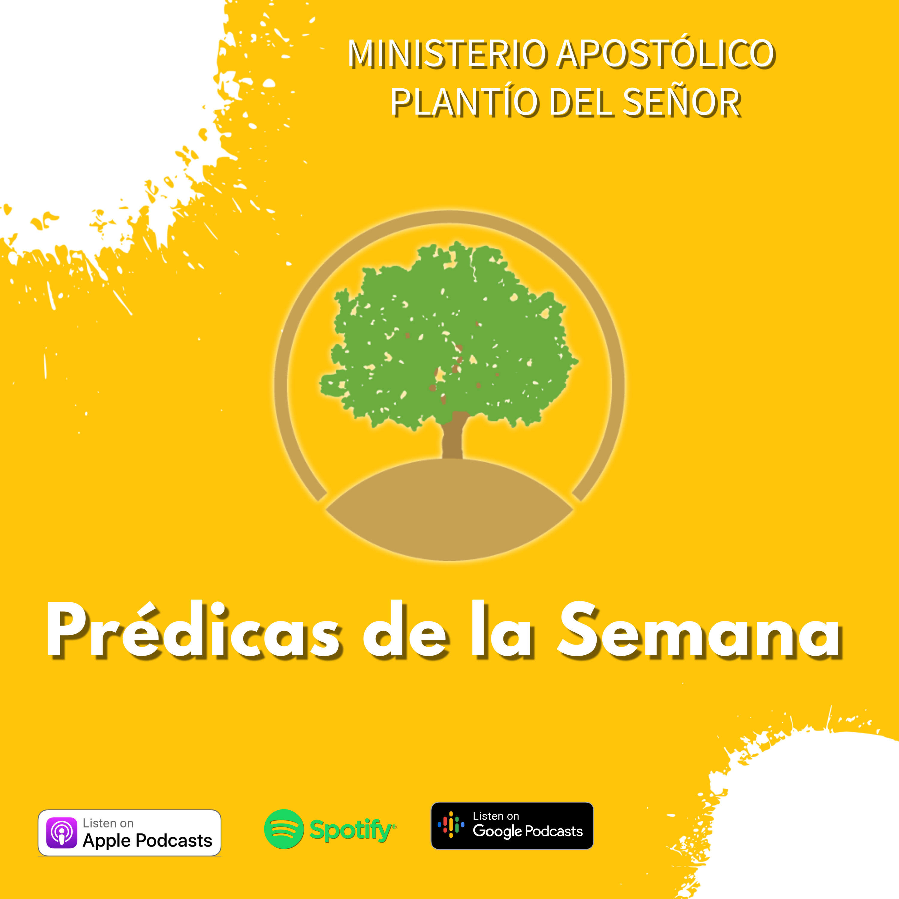 Radio Plantio del Señor